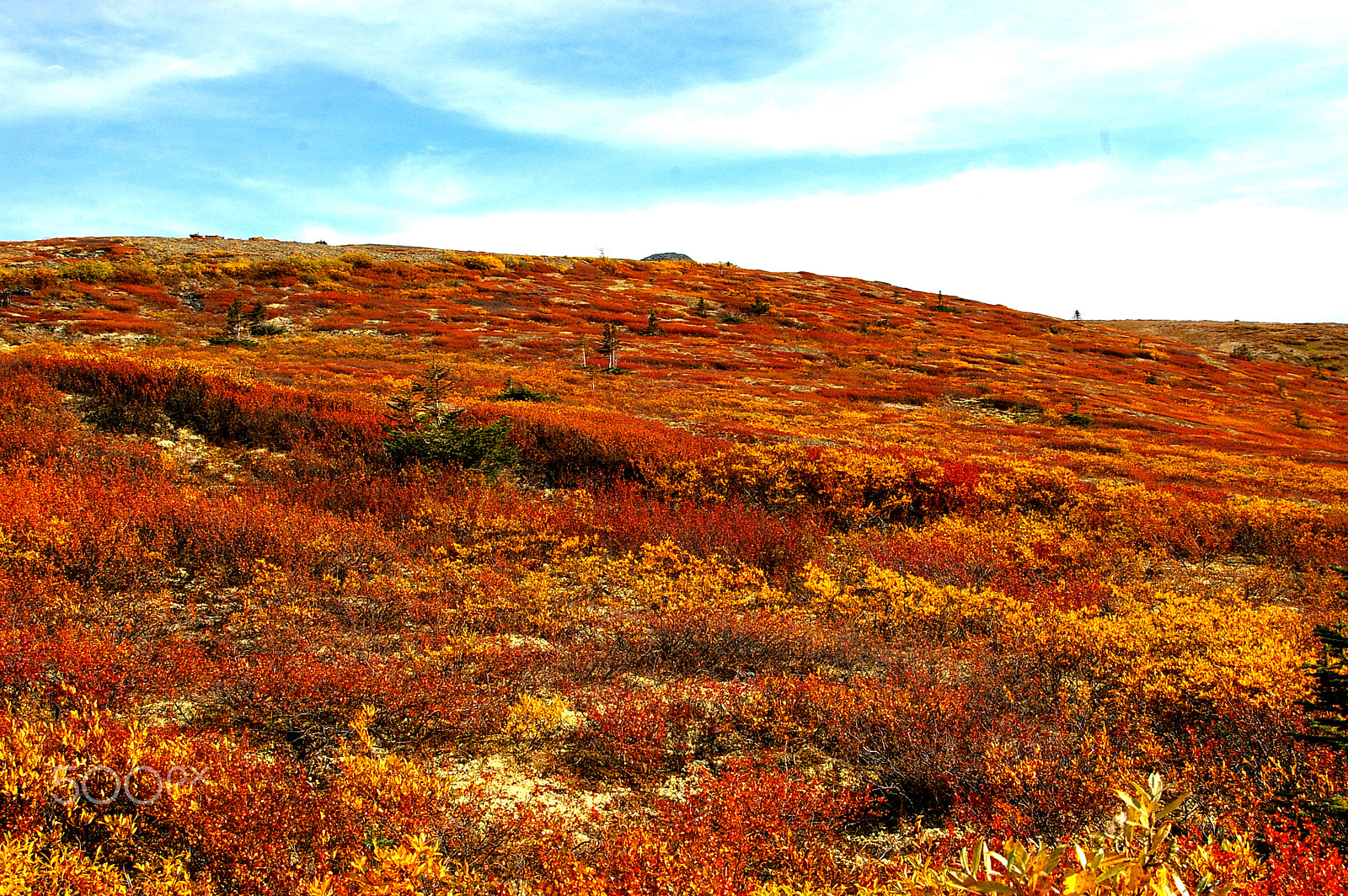 Samsung GX-1L sample photo. Indian summer, yukon territory, canada. photography