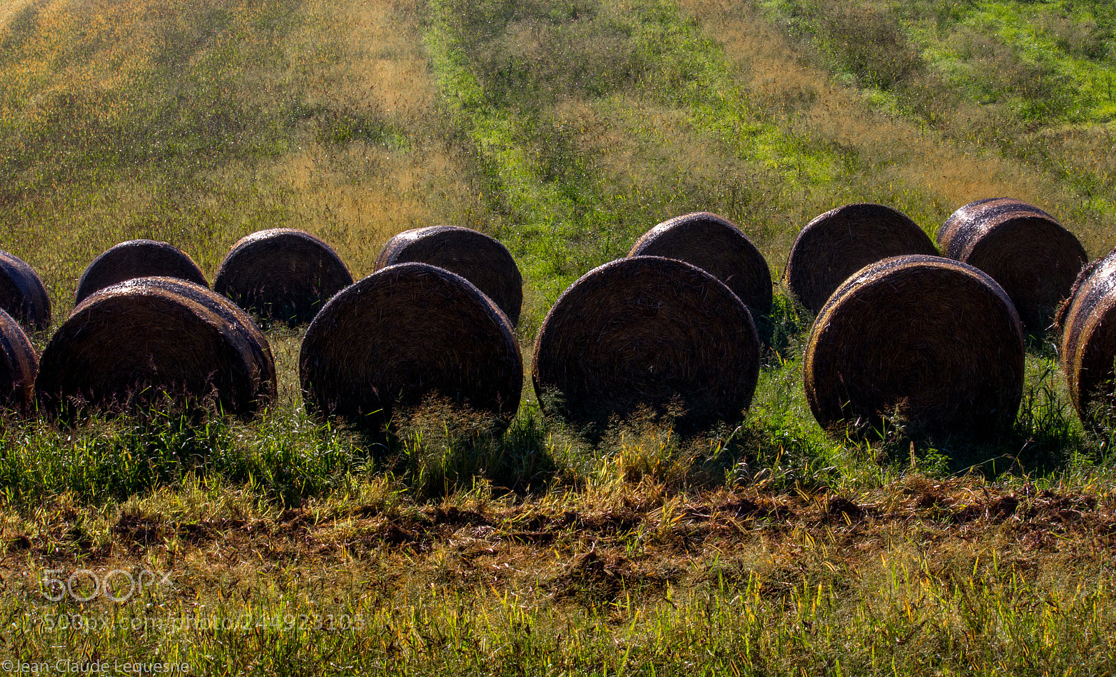 Canon EOS 60D sample photo. Haymaking season 3 photography
