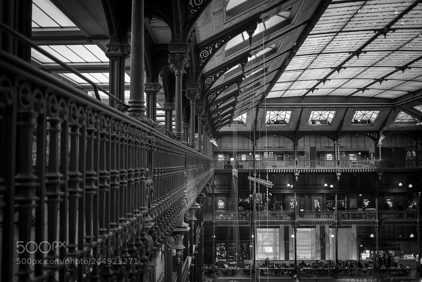 Sony a7R III sample photo. Where’s waldo? photography