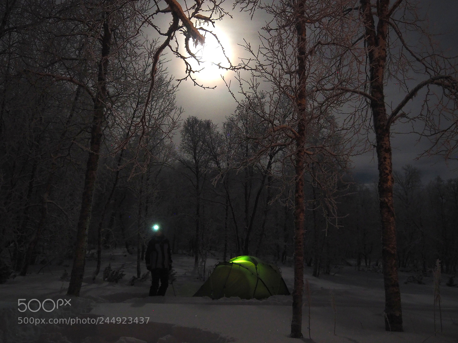 Olympus OM-D E-M10 II sample photo. Polar night, lapland. photography