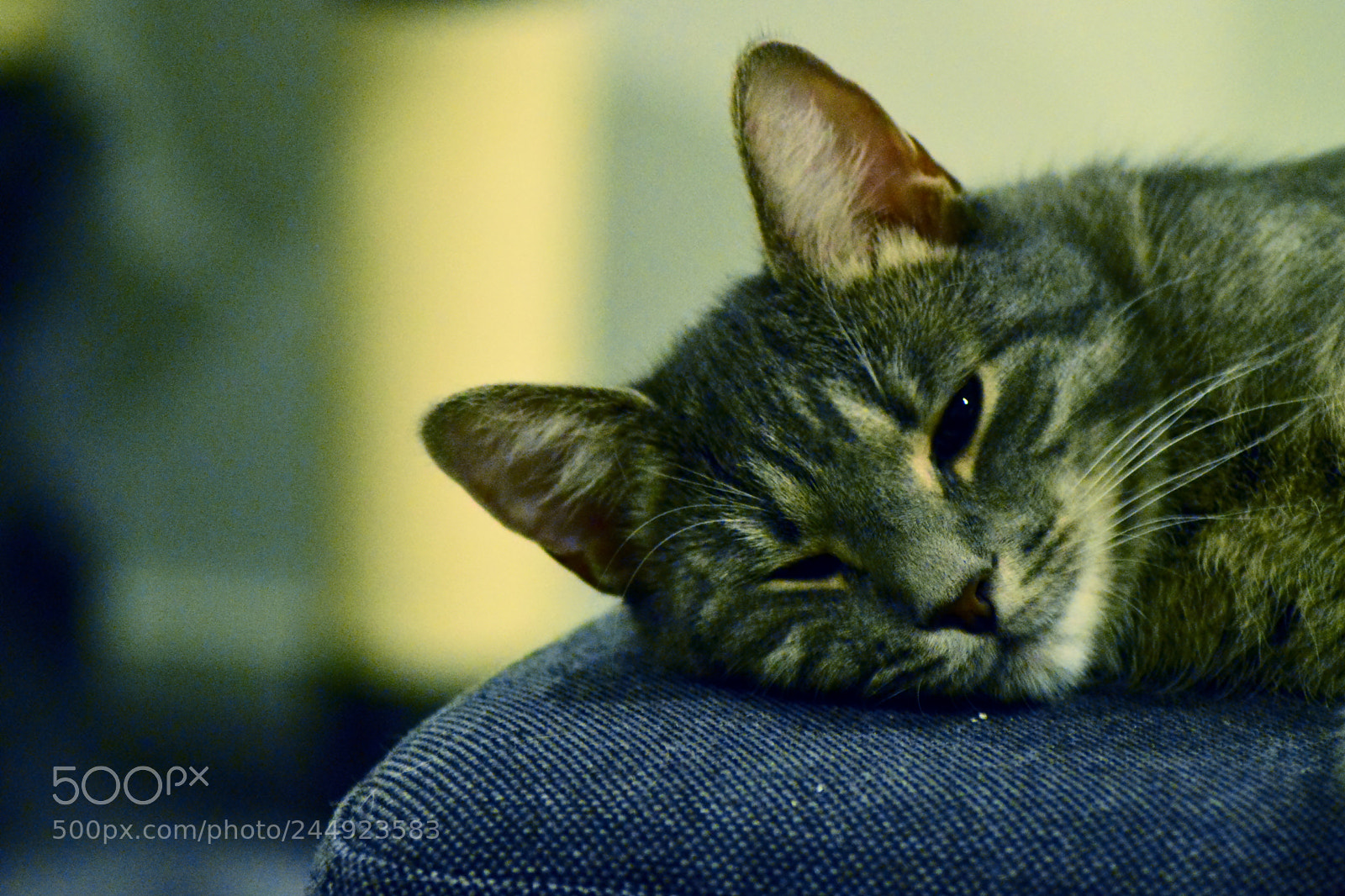 Nikon D3200 sample photo. It's cold outside photography