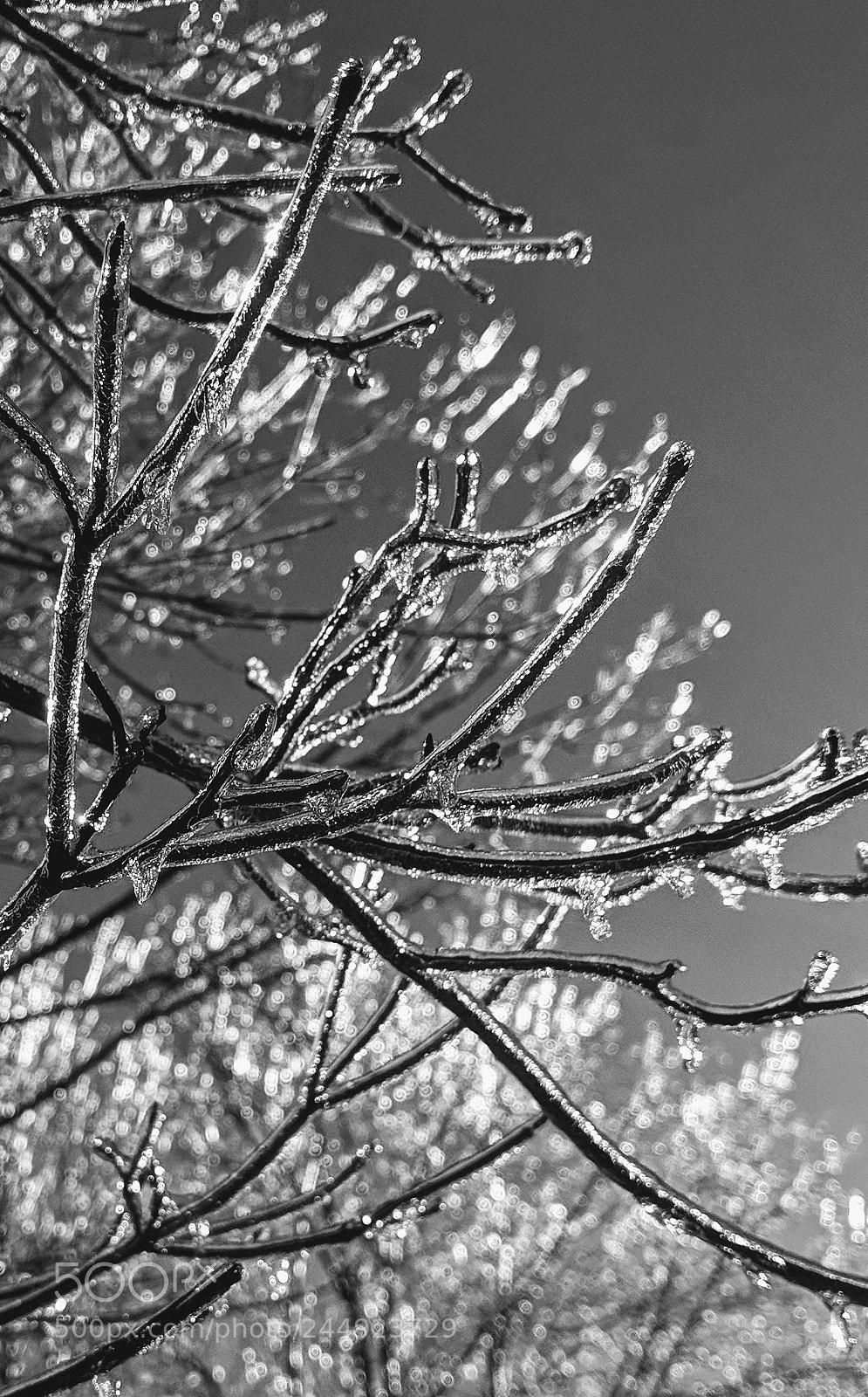 Google Pixel 2 XL sample photo. Frozen fingers photography