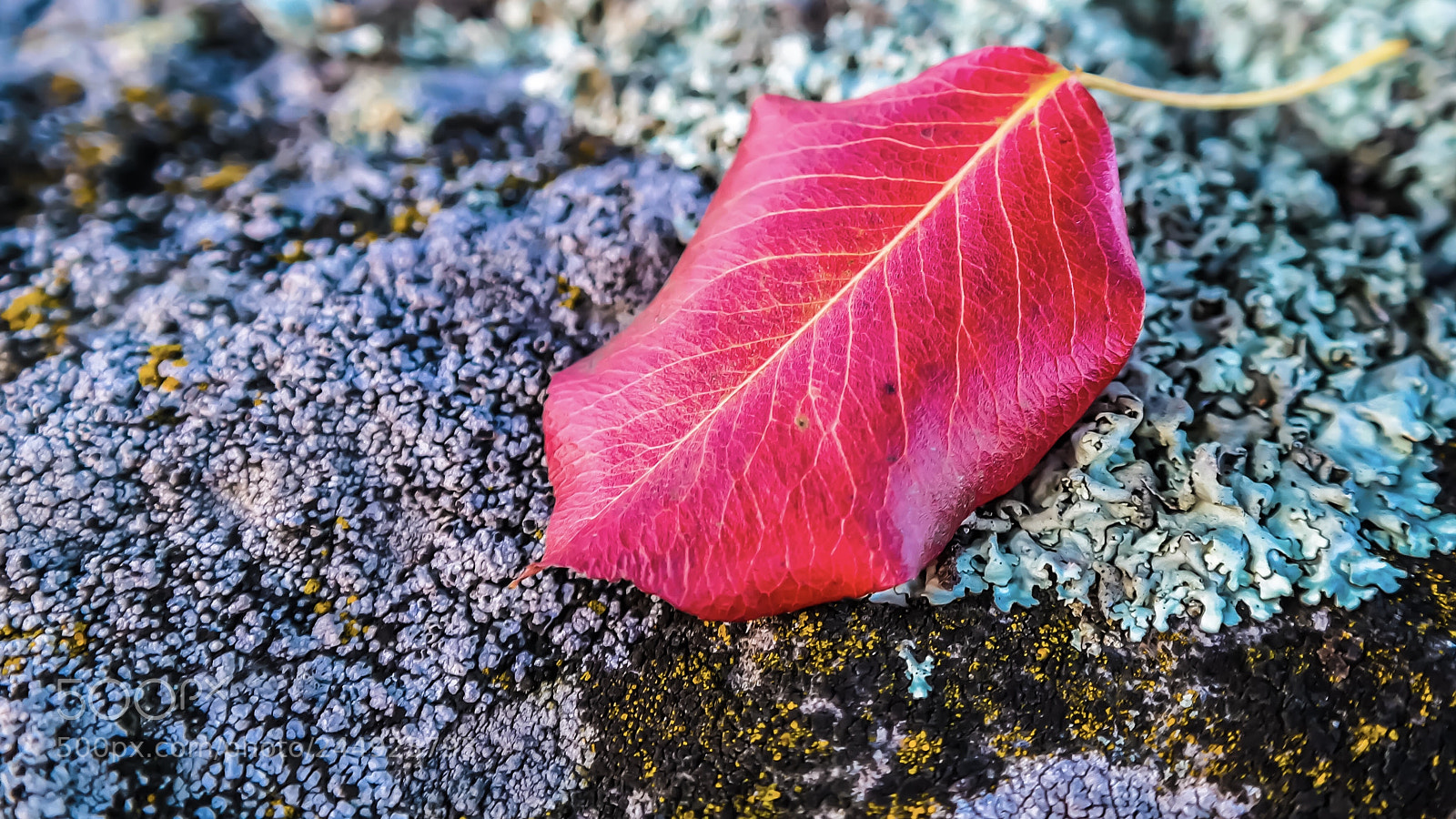 Samsung NX300 sample photo. Leave me photography