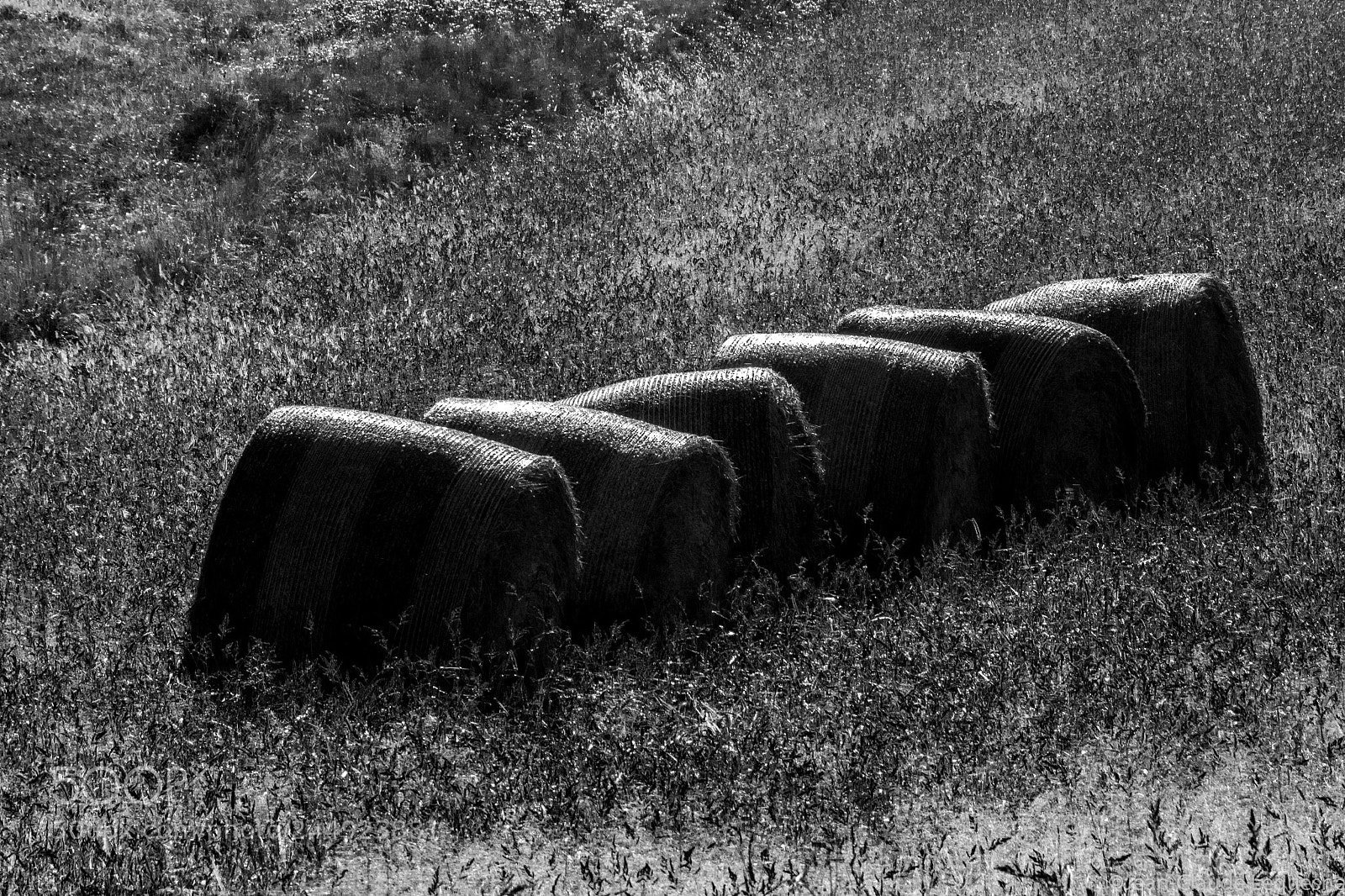 Canon EOS 60D sample photo. Haymaking season 4 photography
