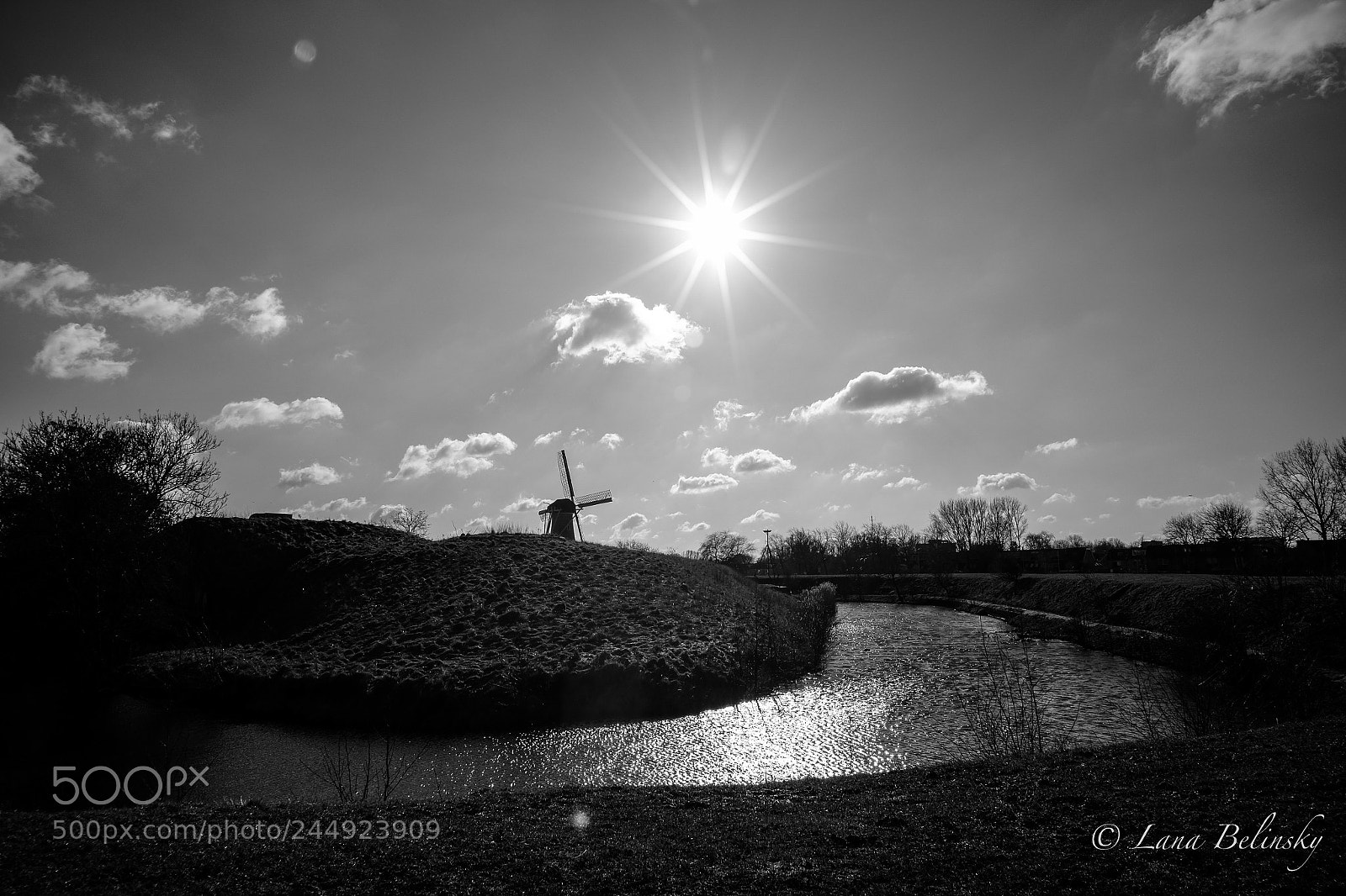 Fujifilm X-E2S sample photo. The star named sun photography