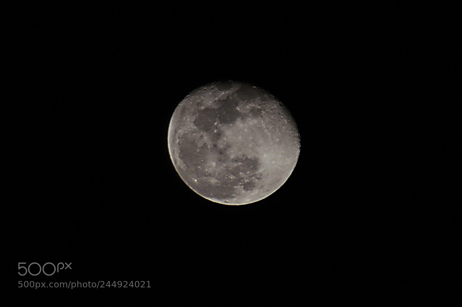 Nikon D3200 sample photo. Untitled photography