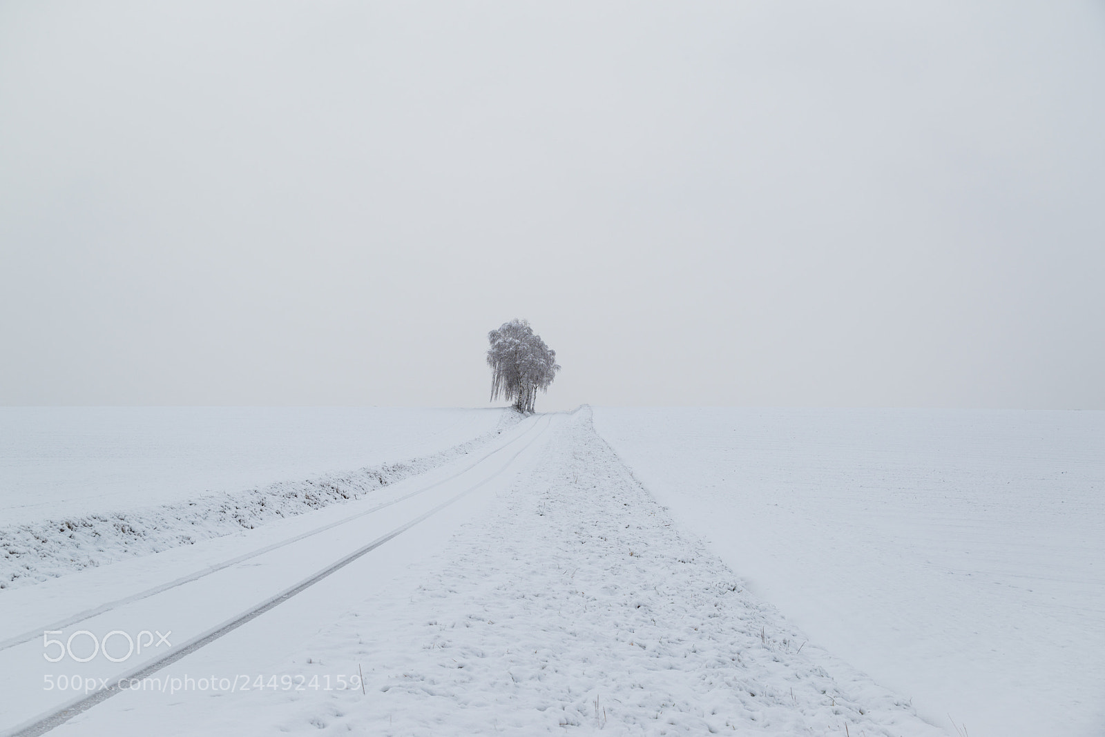 Pentax K-1 sample photo. Nothing but white photography