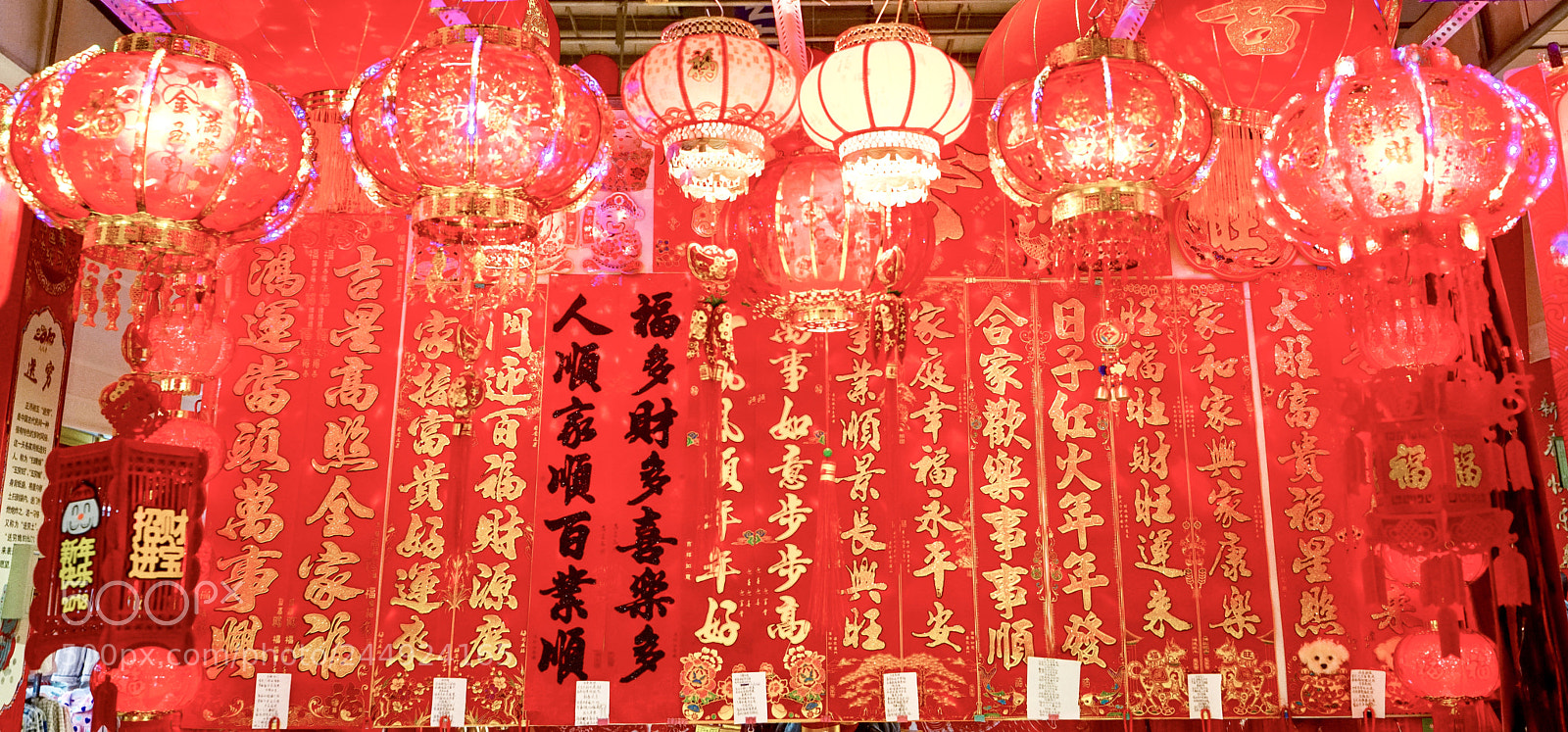 Sony a7R II sample photo. ┈for the spring festival ┈ photography