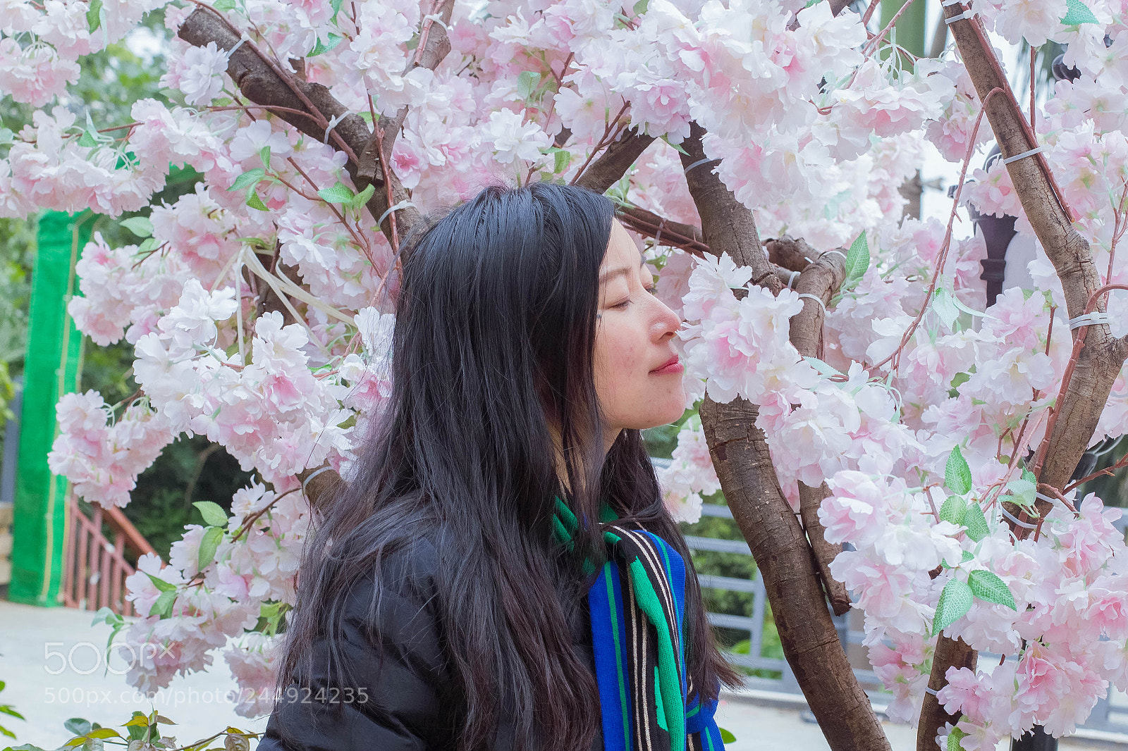 Canon EOS 550D (EOS Rebel T2i / EOS Kiss X4) sample photo. 嗅香 photography