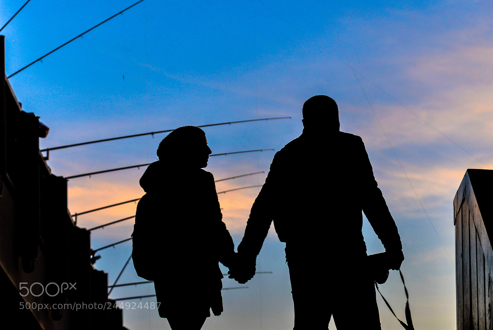 Nikon D610 sample photo. Two love of the photography