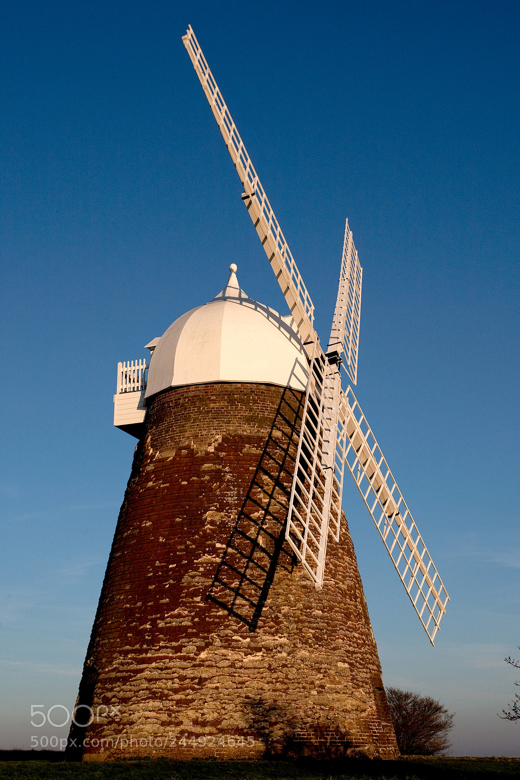 Canon EOS-1D Mark III sample photo. Halnaker windmill photography