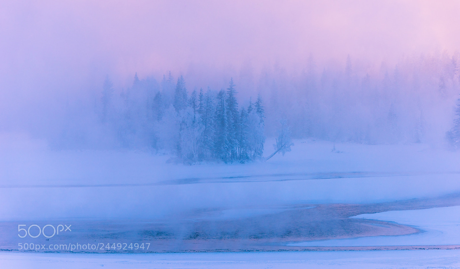 Nikon D810 sample photo. Magic morning of magic photography