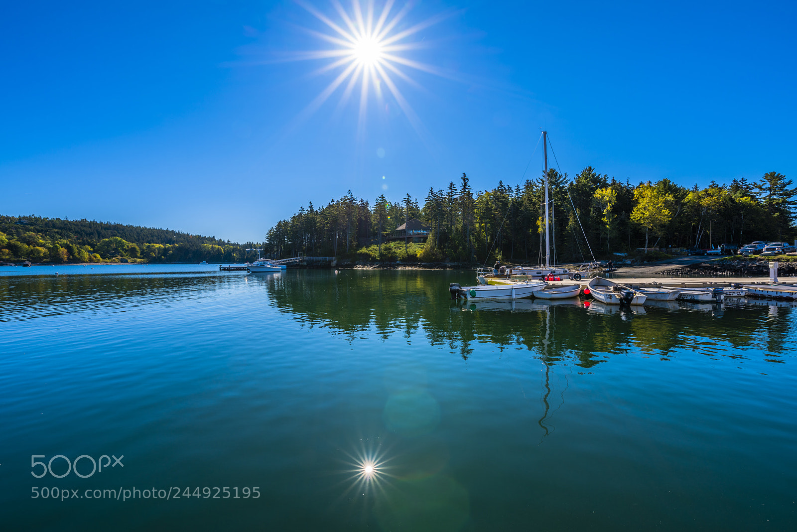 Nikon D810 sample photo. Sun reflection photography