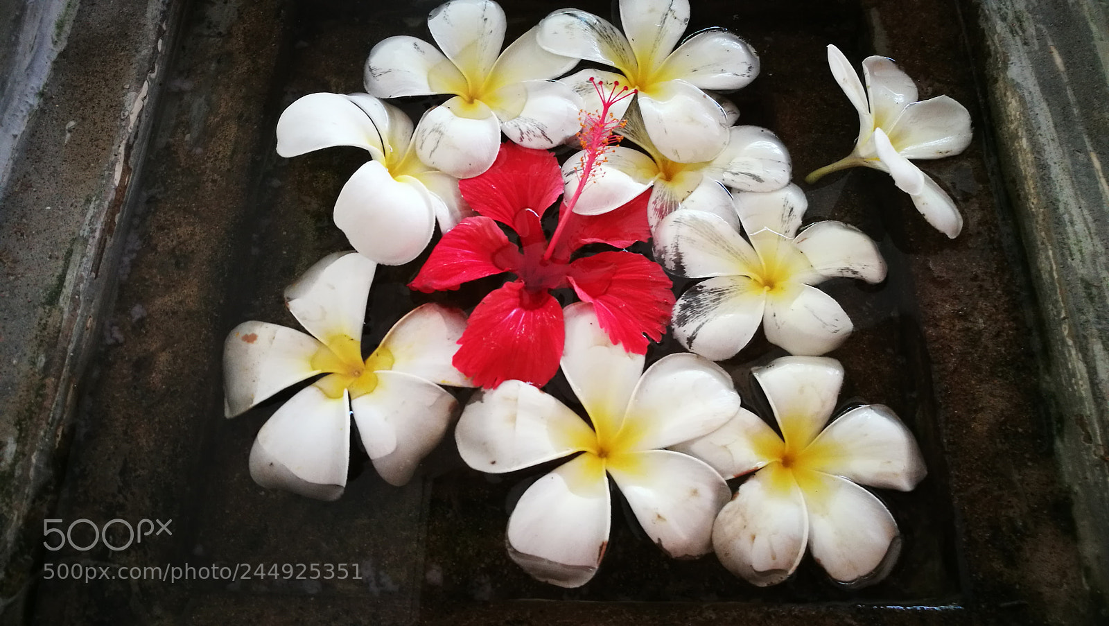 HUAWEI P9 sample photo. Untitled photography