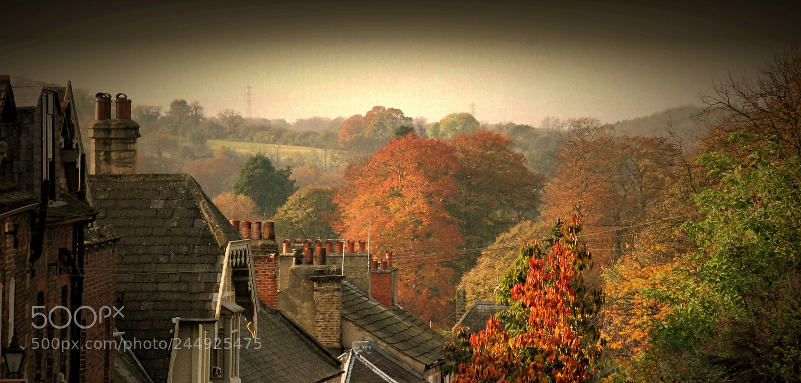 Nikon D80 sample photo. Misty autumn afternoon, looking photography