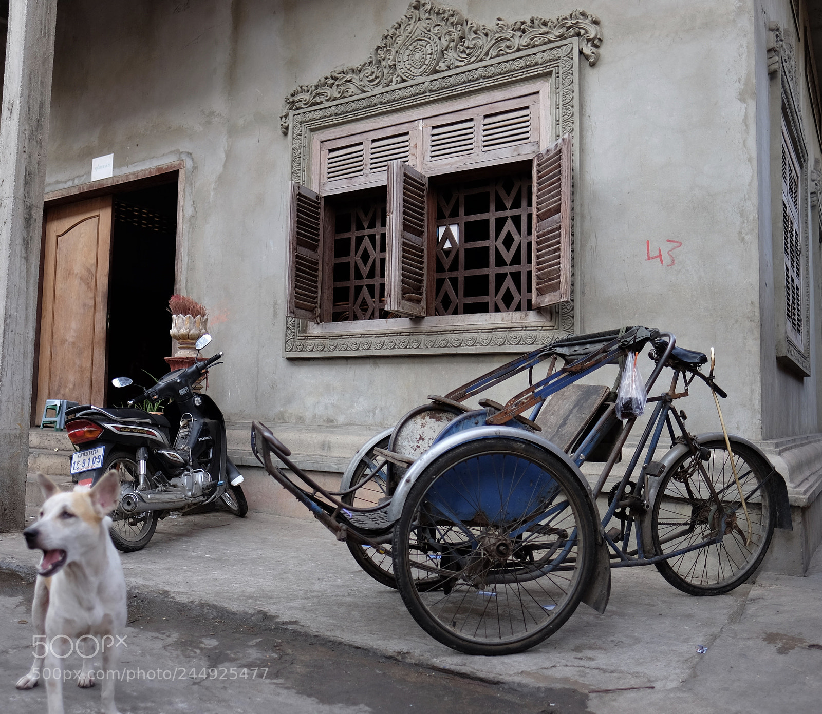 Fujifilm X-T1 sample photo. Now for something completely photography