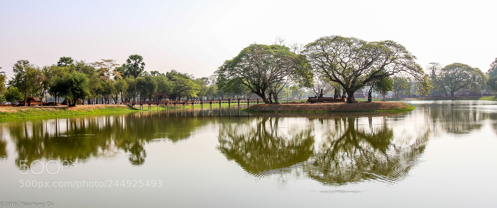 Canon EOS 70D sample photo. Reflection of trees in photography