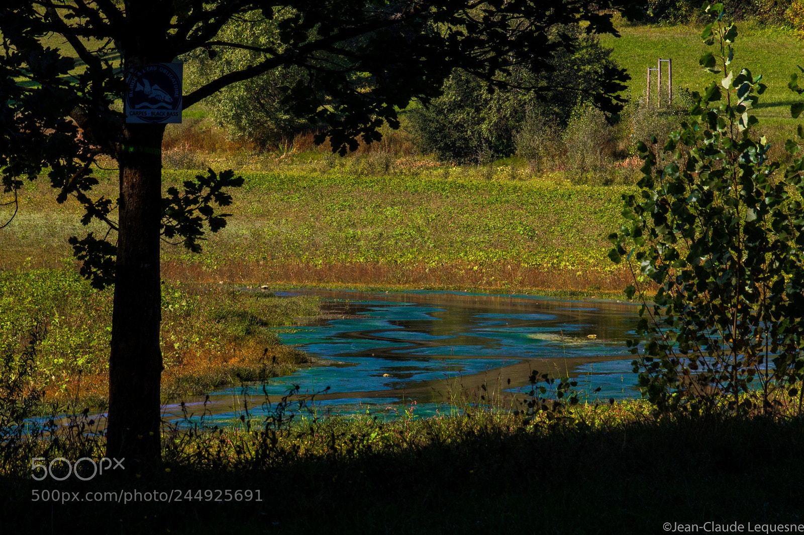 Canon EOS 60D sample photo. Autour du lac 9 photography