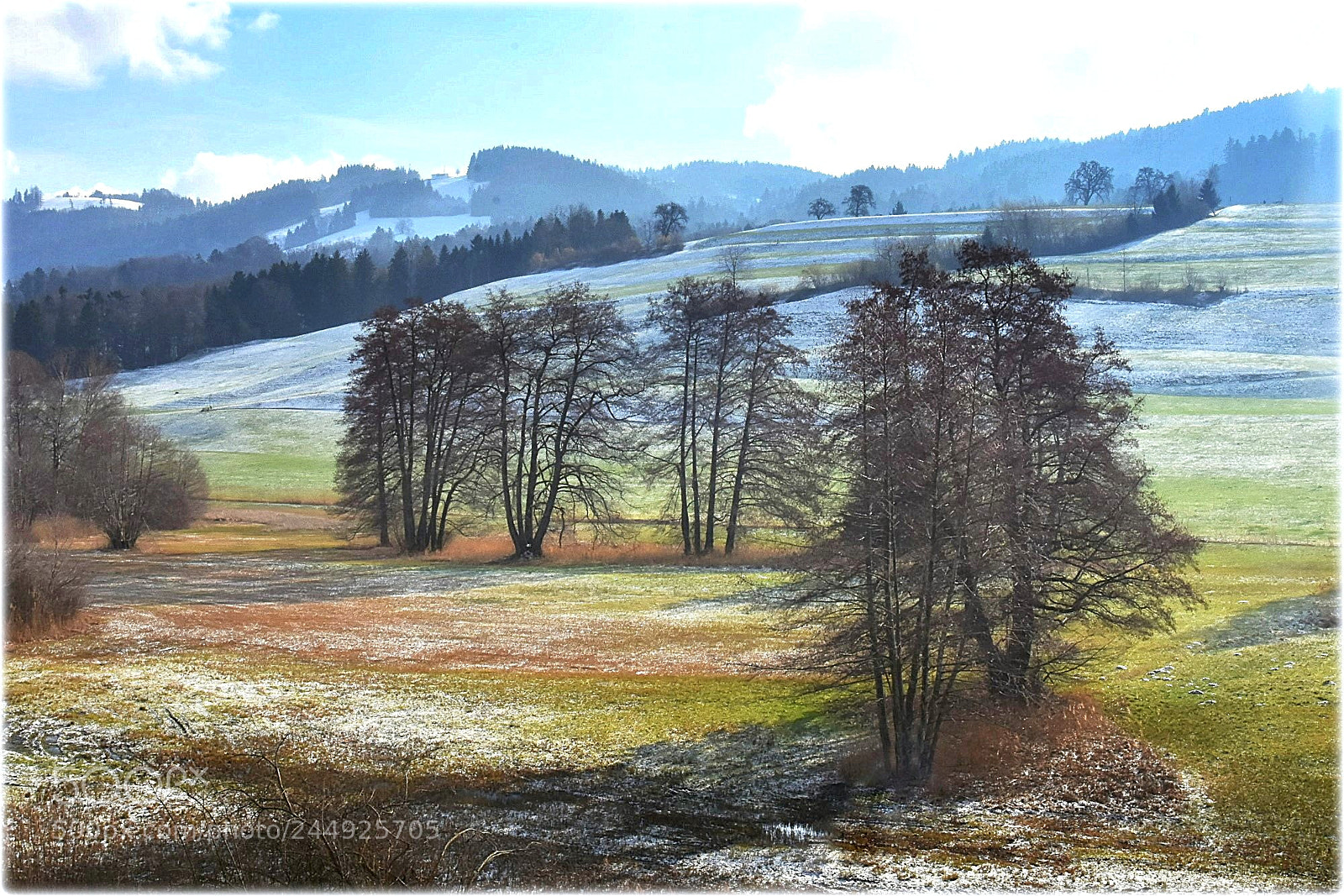 Nikon D7200 sample photo. "february-color" photography