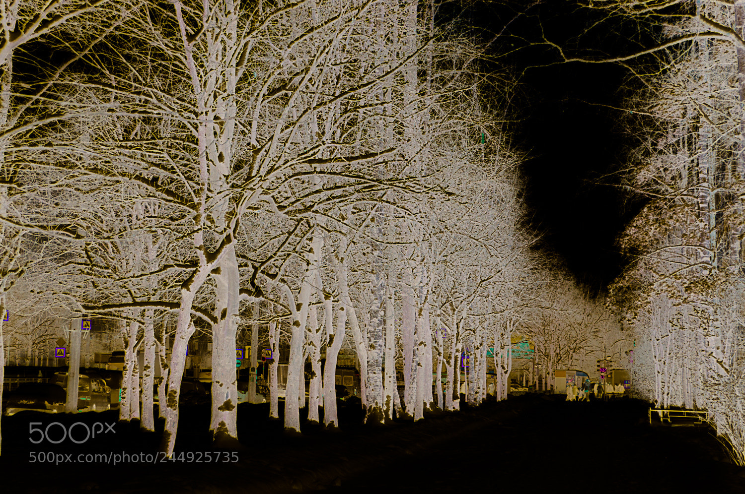 Nikon D90 sample photo. Infrared winter photography