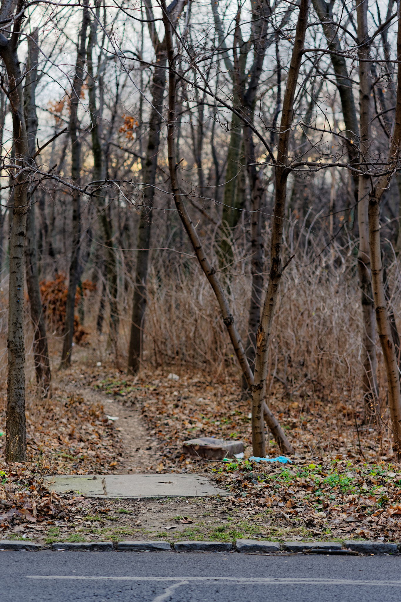 Sony a7 II + ZEISS Batis 85mm F1.8 sample photo. Way to the unknown photography