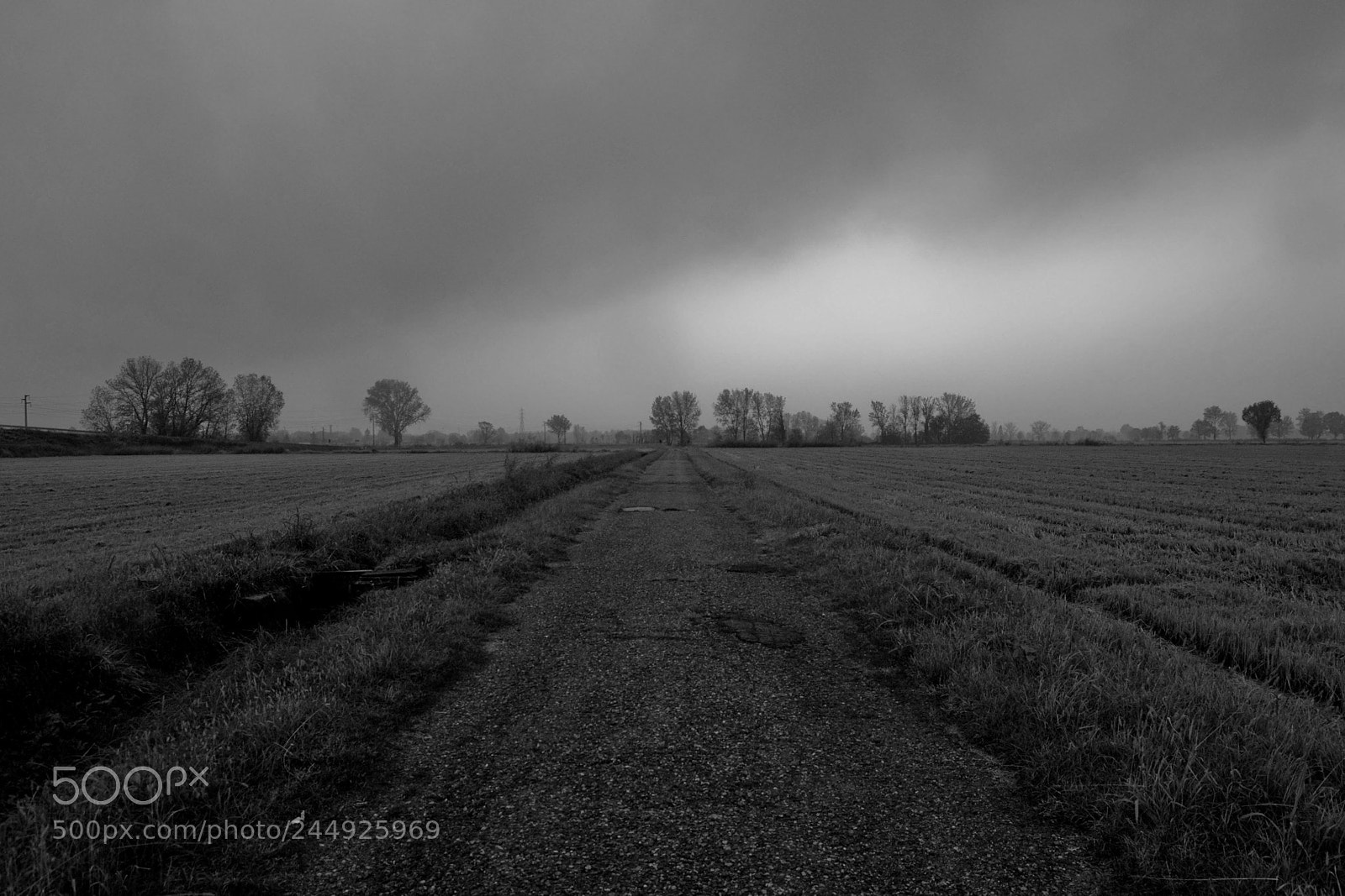 Nikon D90 sample photo. Novembre photography