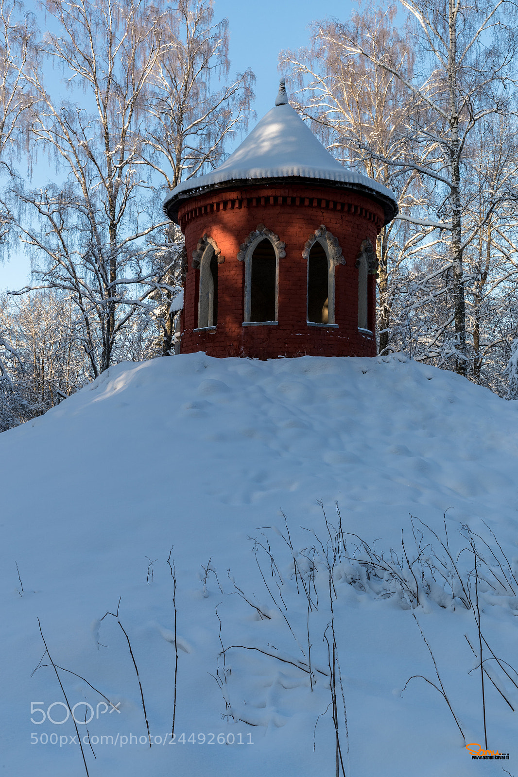 Canon EOS-1D X Mark II sample photo. Rose castle in winter photography
