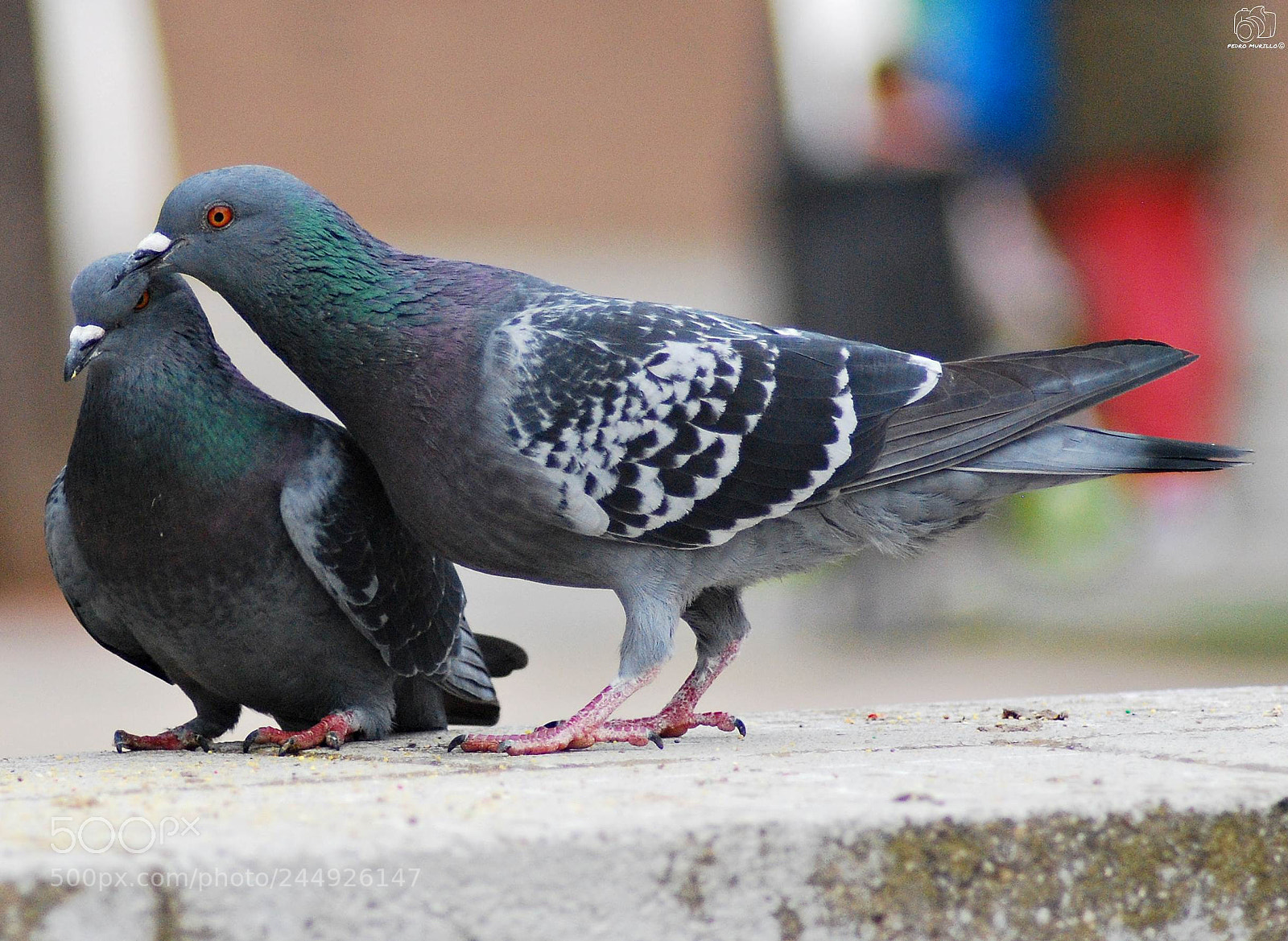 Nikon D60 sample photo. Untitled photography