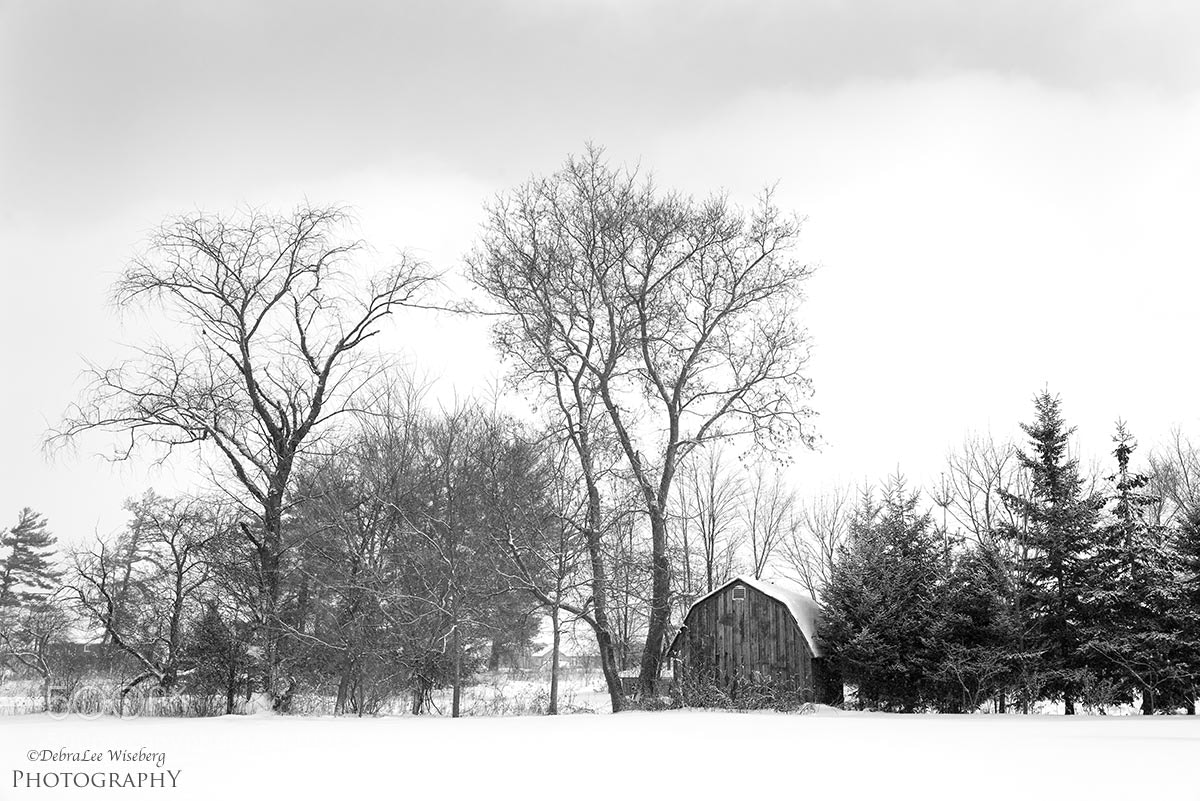 Nikon D800 sample photo. Sheltered from the storm photography