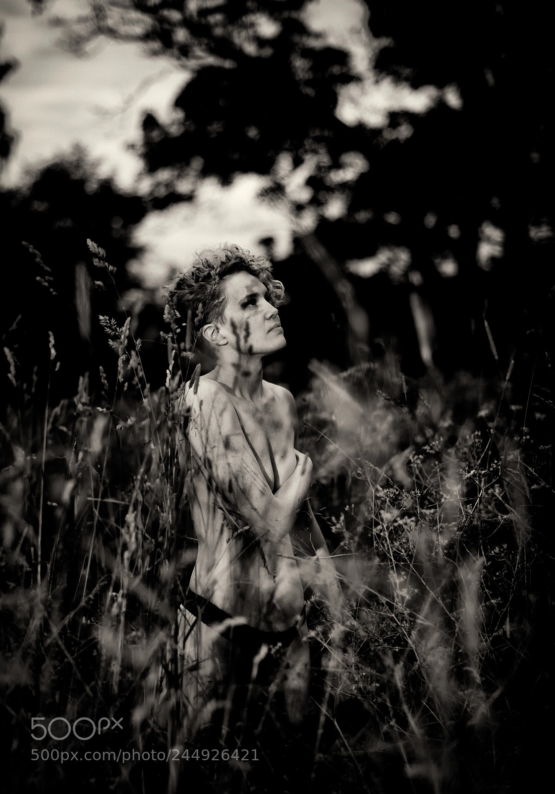 Nikon D800 sample photo. In the field photography