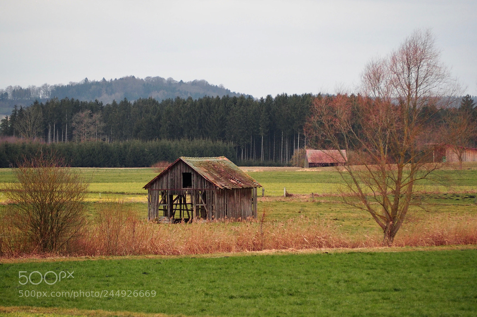 Olympus OM-D E-M5 II sample photo. Winter field bavaria photography