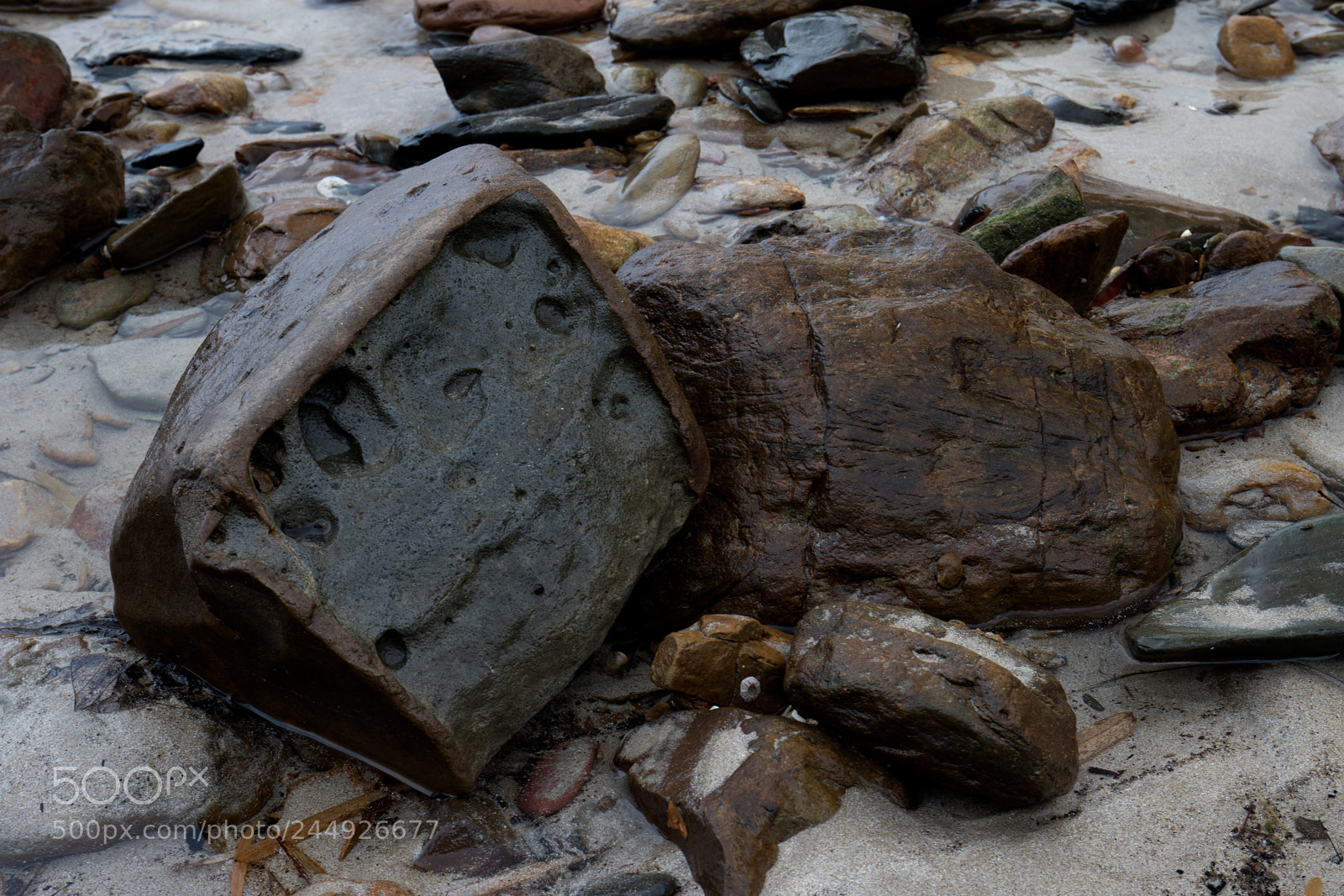 Canon EOS 7D Mark II sample photo. Untitled photography