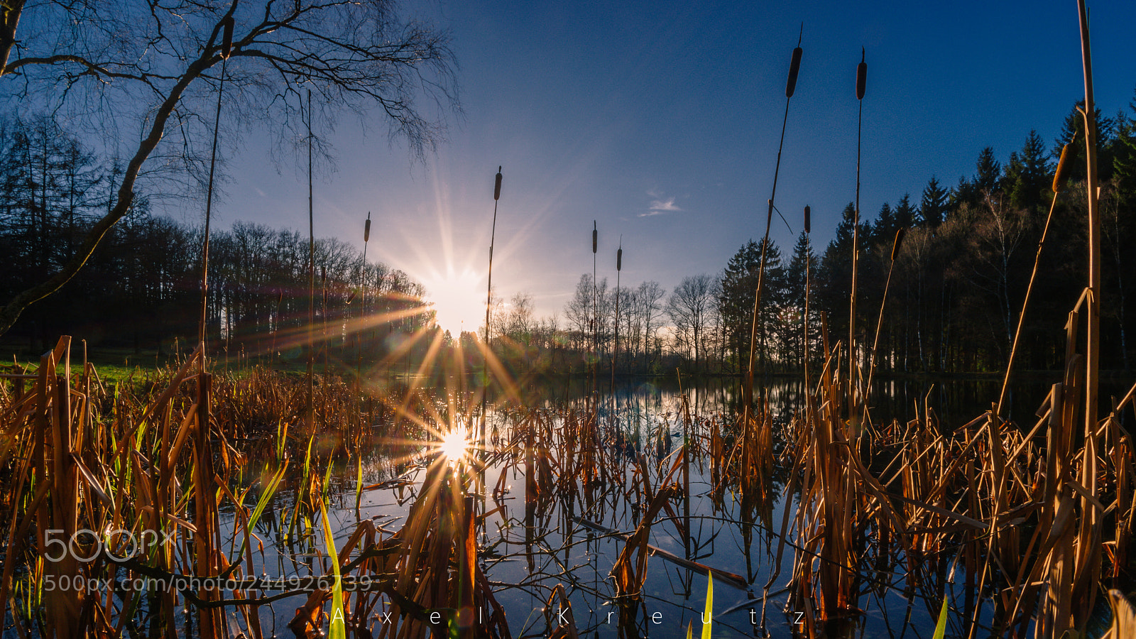 Pentax K-3 II sample photo. Wilnsdorfer weiher photography