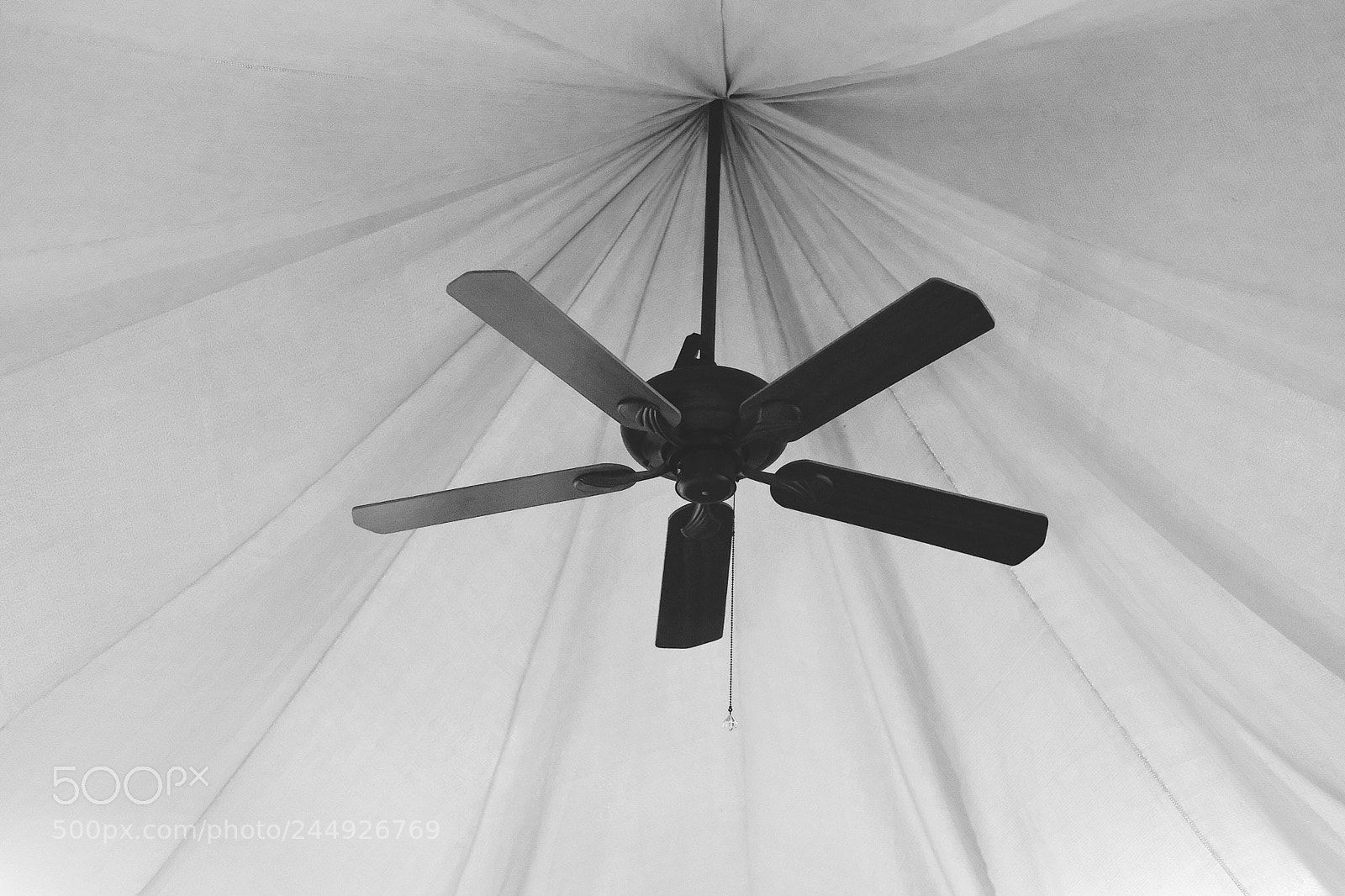 Fujifilm X-Pro2 sample photo. Untitled photography