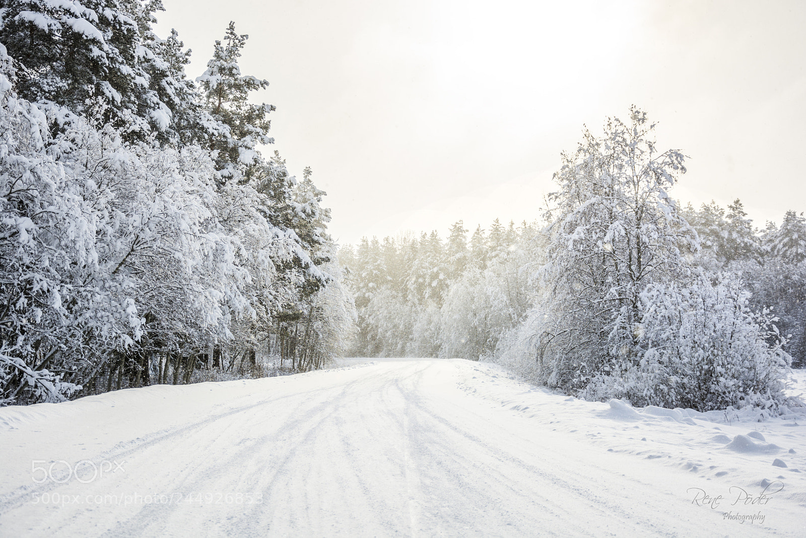 Nikon D7100 sample photo. Winter has arrived photography