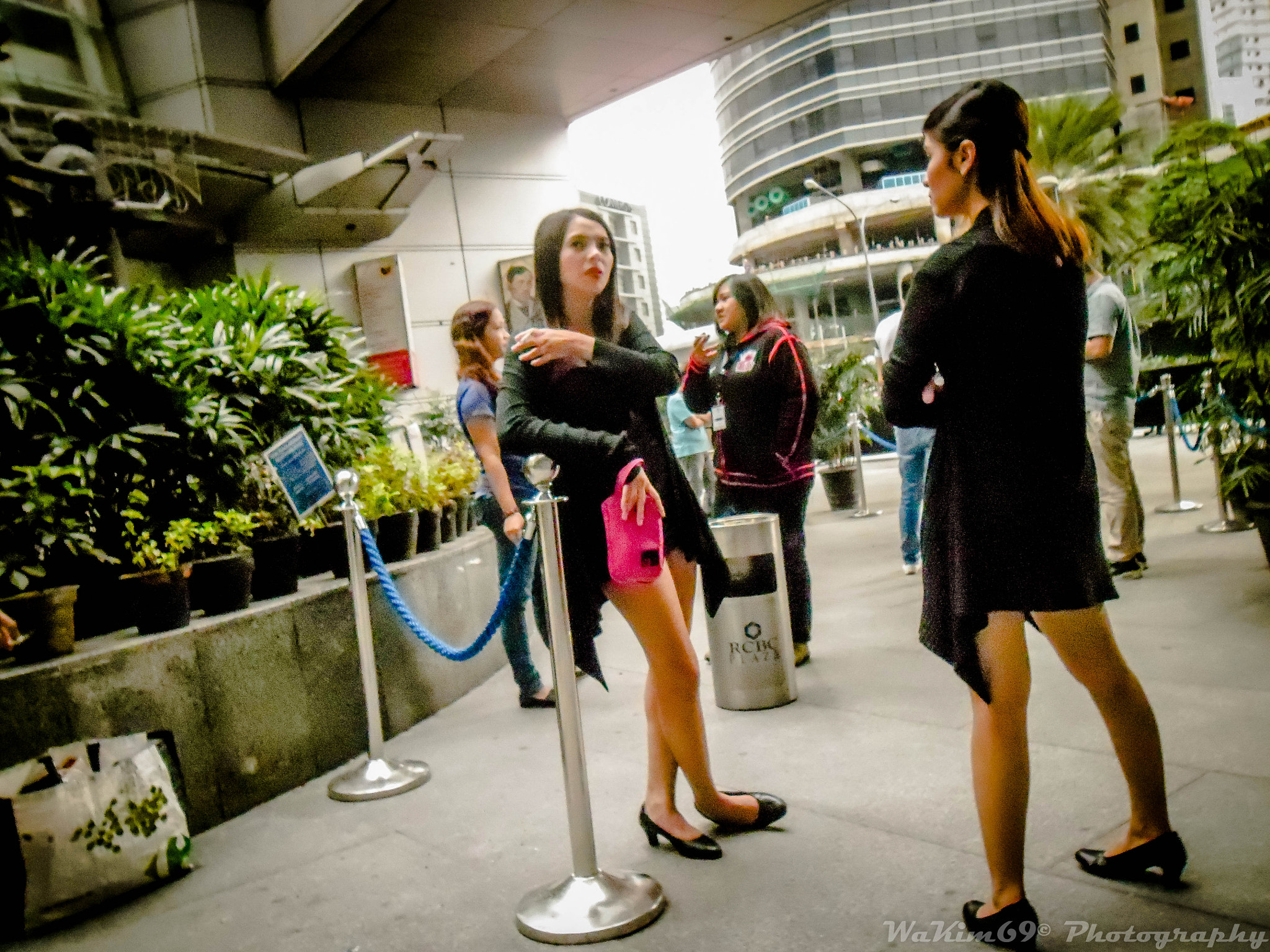 Samsung ES90/ ES91 sample photo. She sees me coming... :) photography