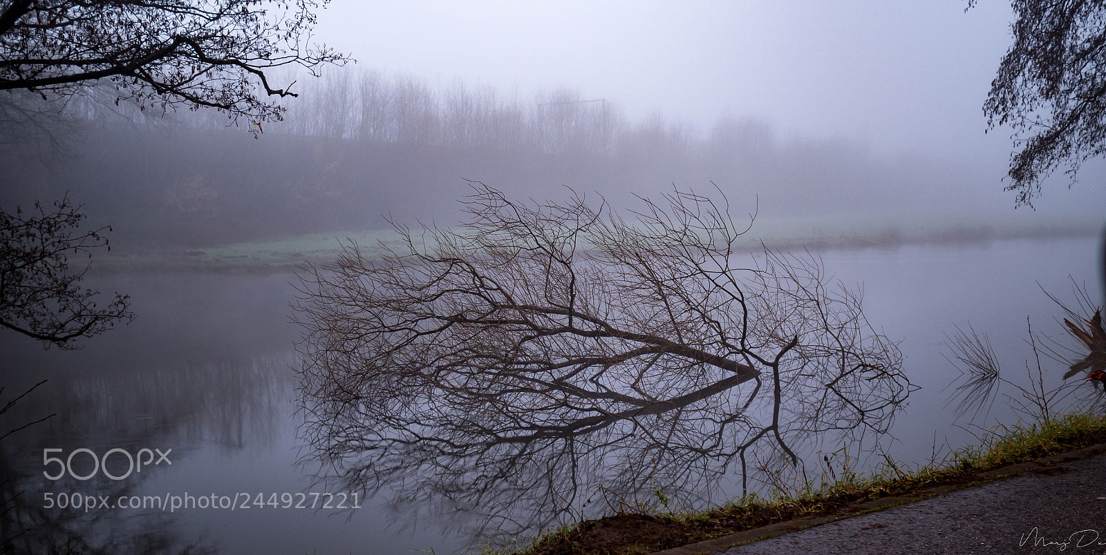 Olympus OM-D E-M10 II sample photo. Un matin brumeux photography