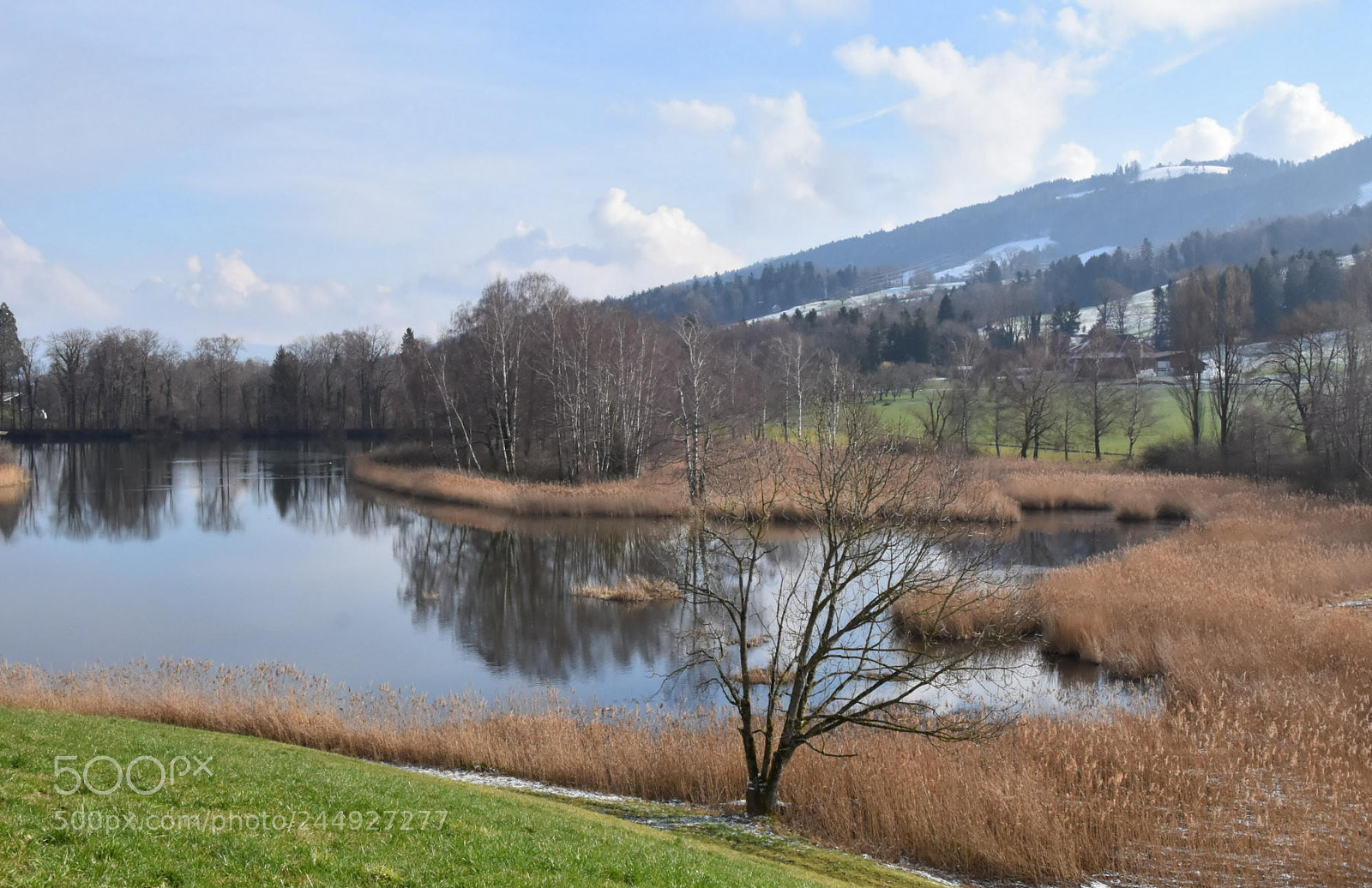 Nikon D7200 sample photo. "pond" photography