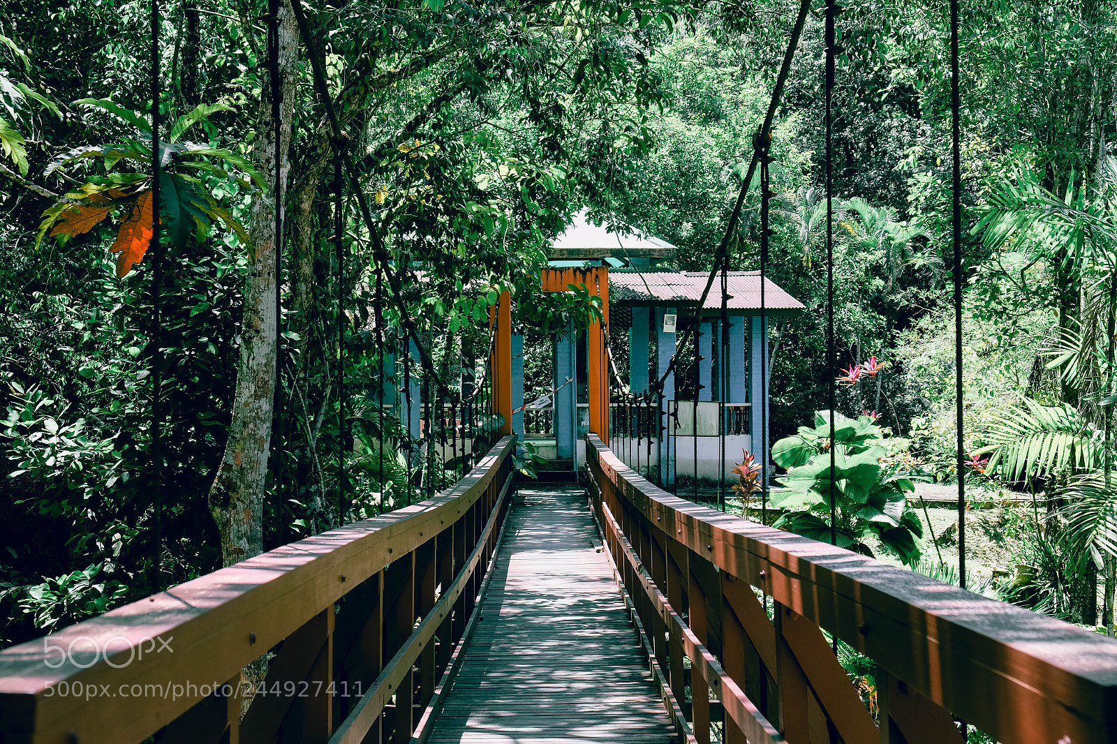 Fujifilm X-T10 sample photo. Wooden bridge photography