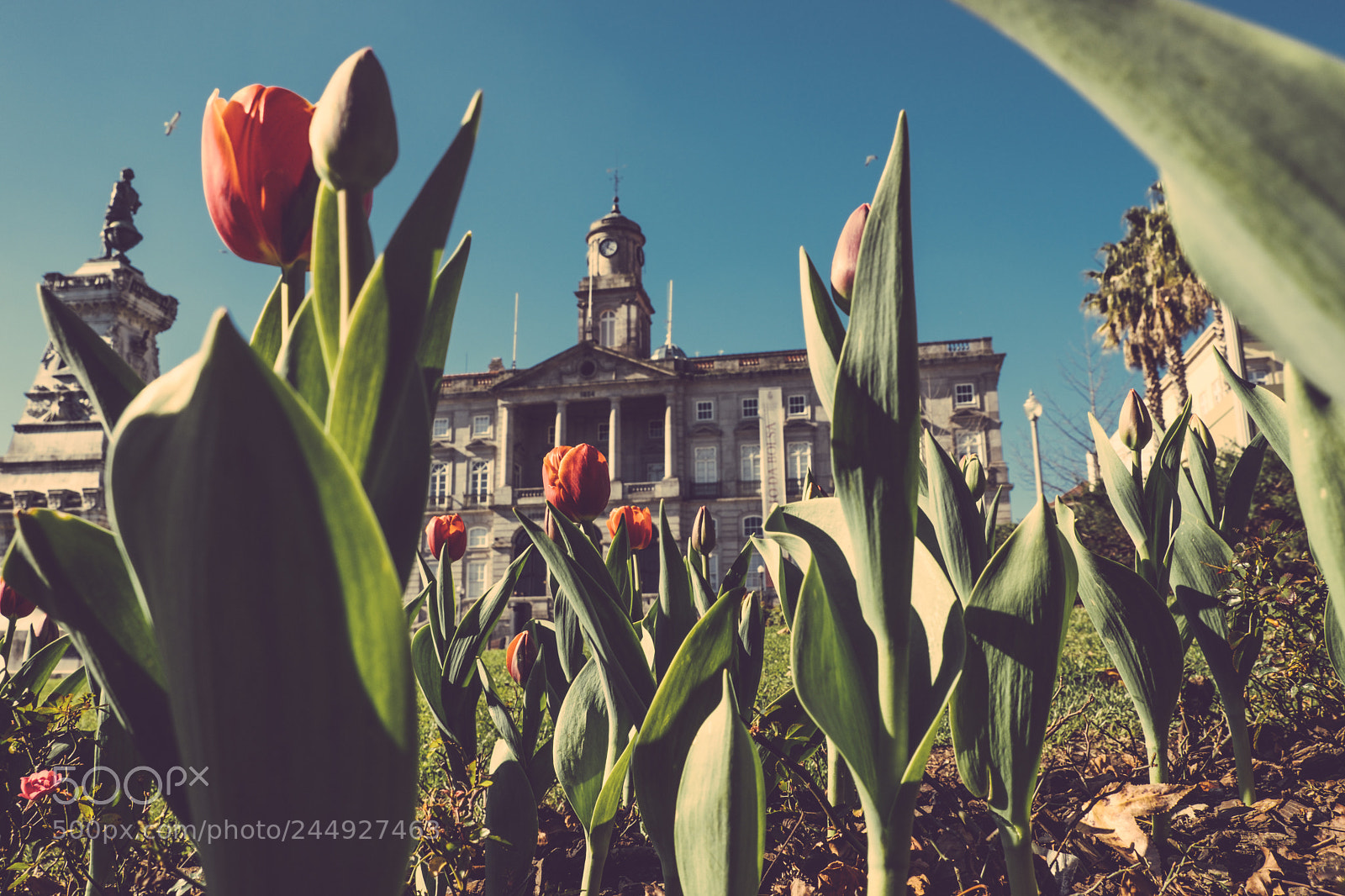Fujifilm X-T20 sample photo. Porto, portugal photography