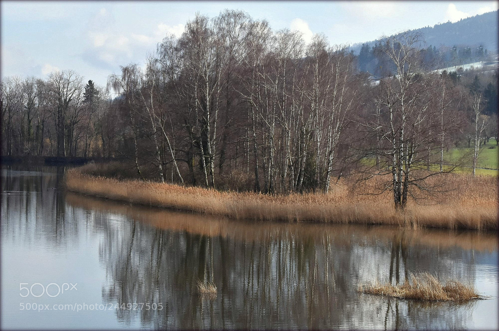 Nikon D7200 sample photo. "at the pond" photography