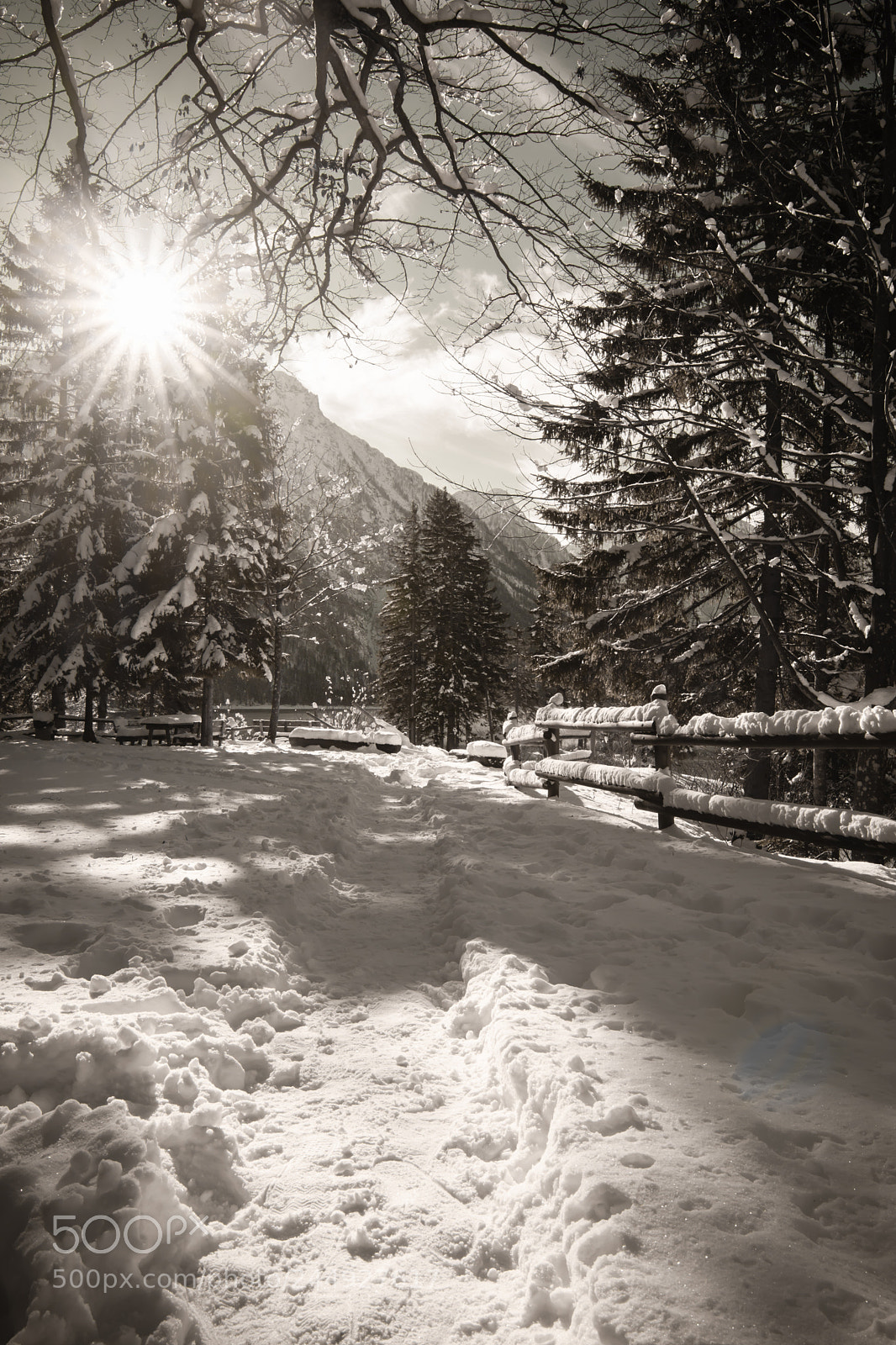 Canon EOS 760D (EOS Rebel T6s / EOS 8000D) sample photo. Wintertime good times photography