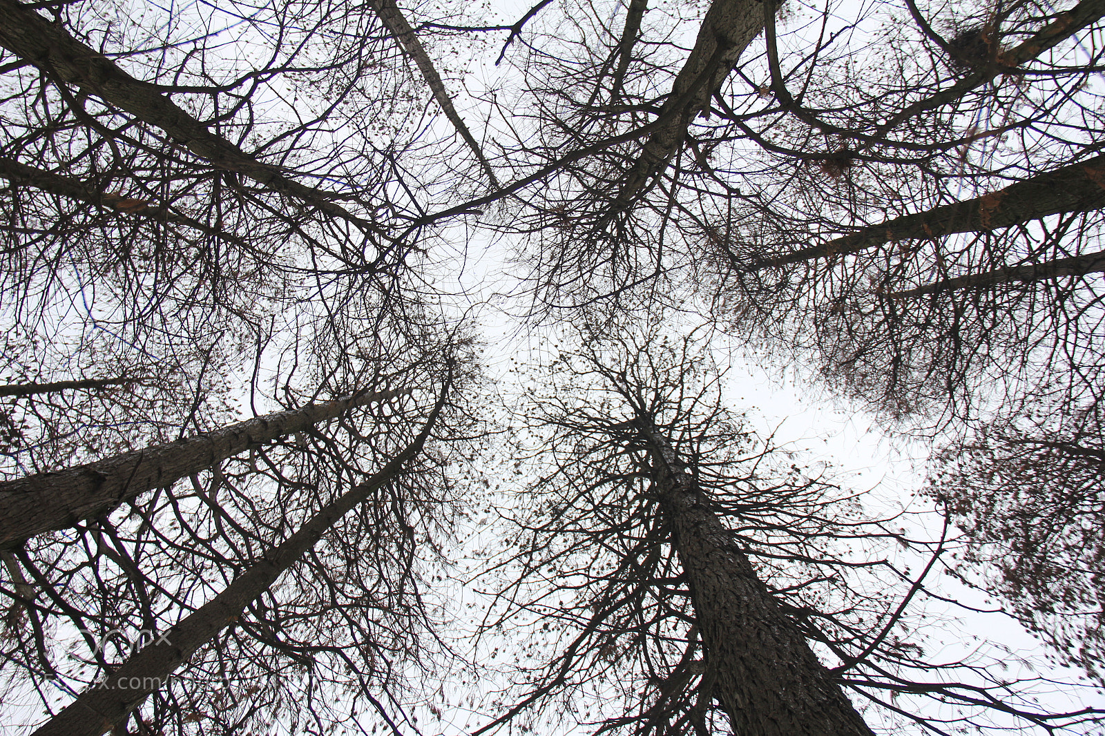 Canon EOS 60D sample photo. Untitled photography