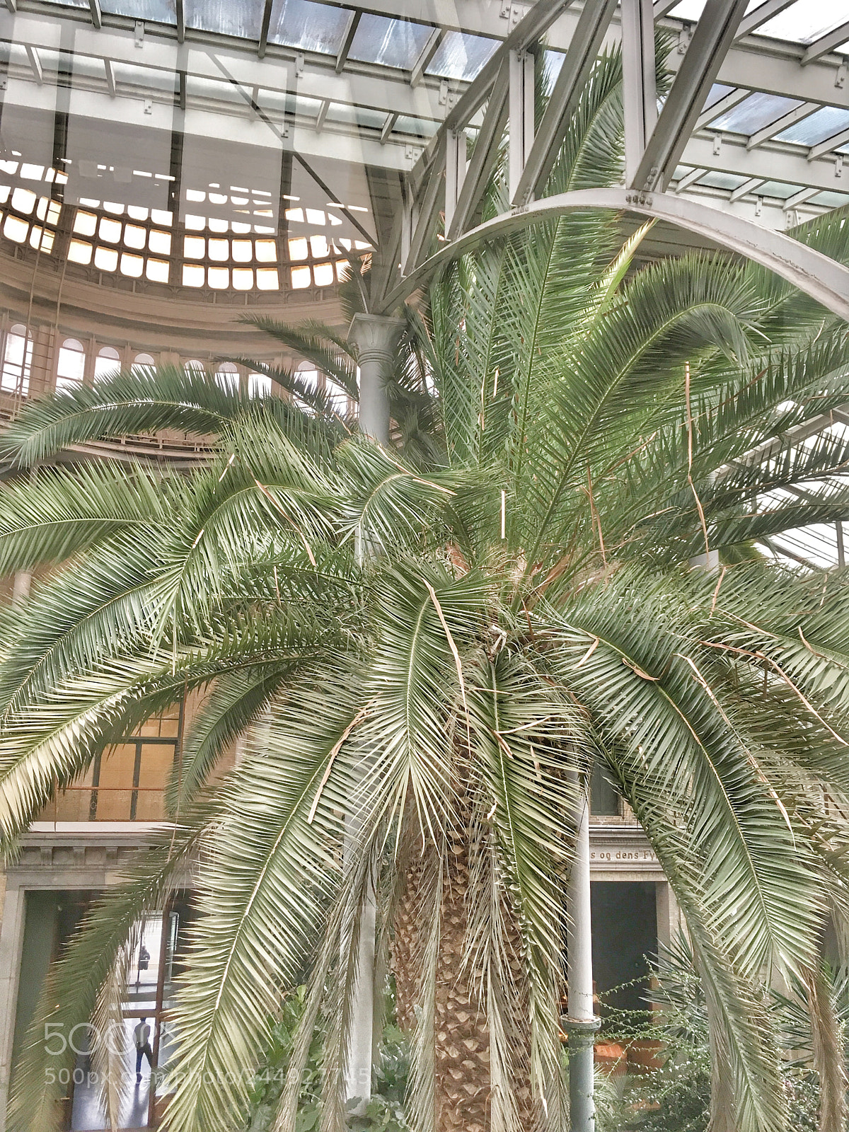 Apple iPhone SE sample photo. Glyptoteket photography