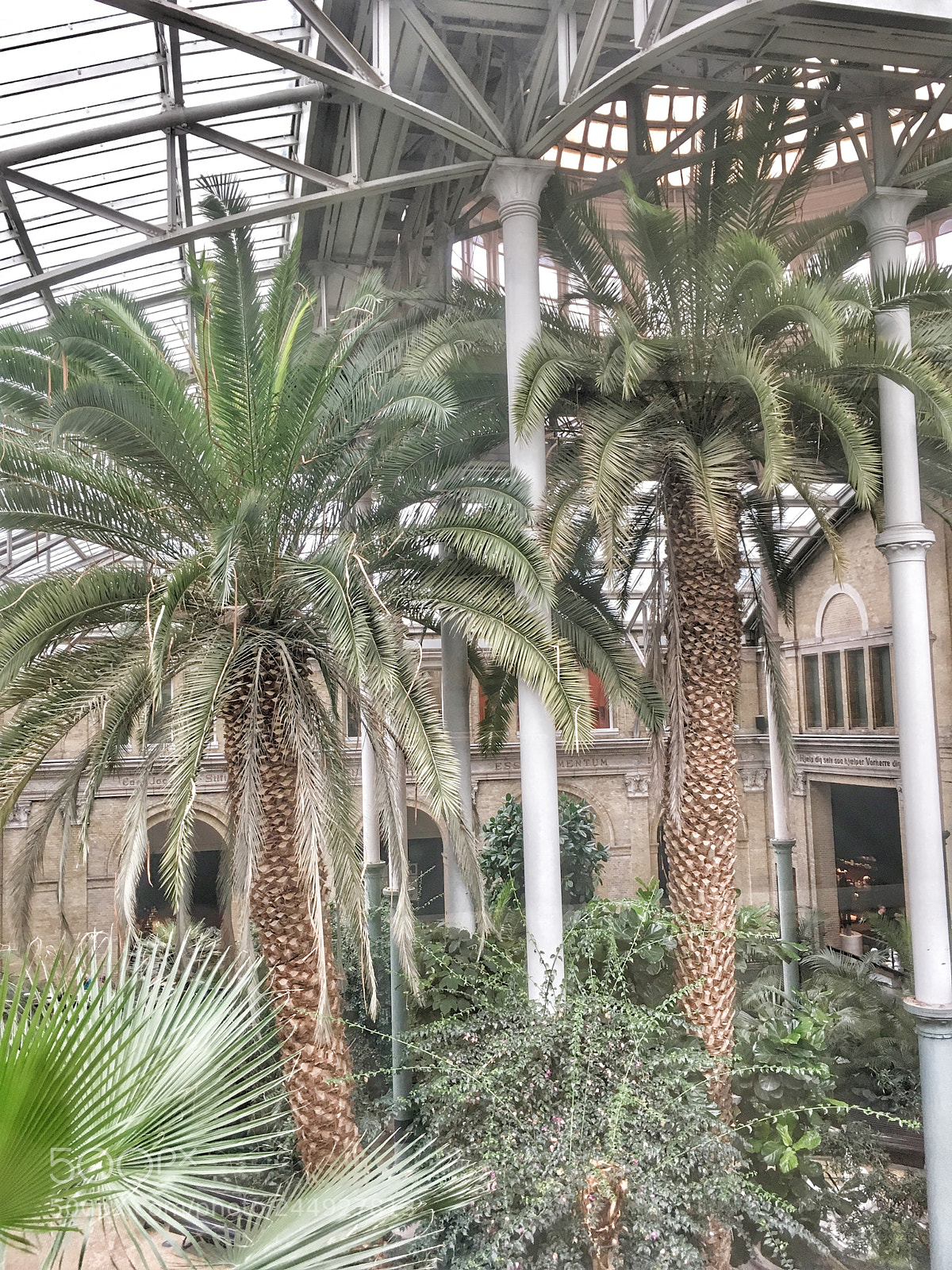 Apple iPhone SE sample photo. Glyptoteket photography