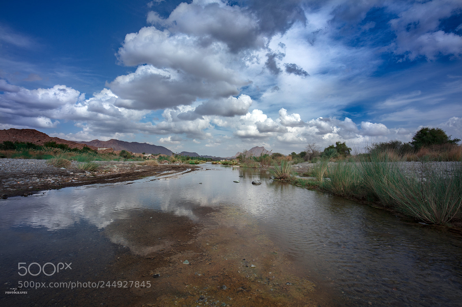 Canon EOS 5DS R sample photo. Nature reflection photography