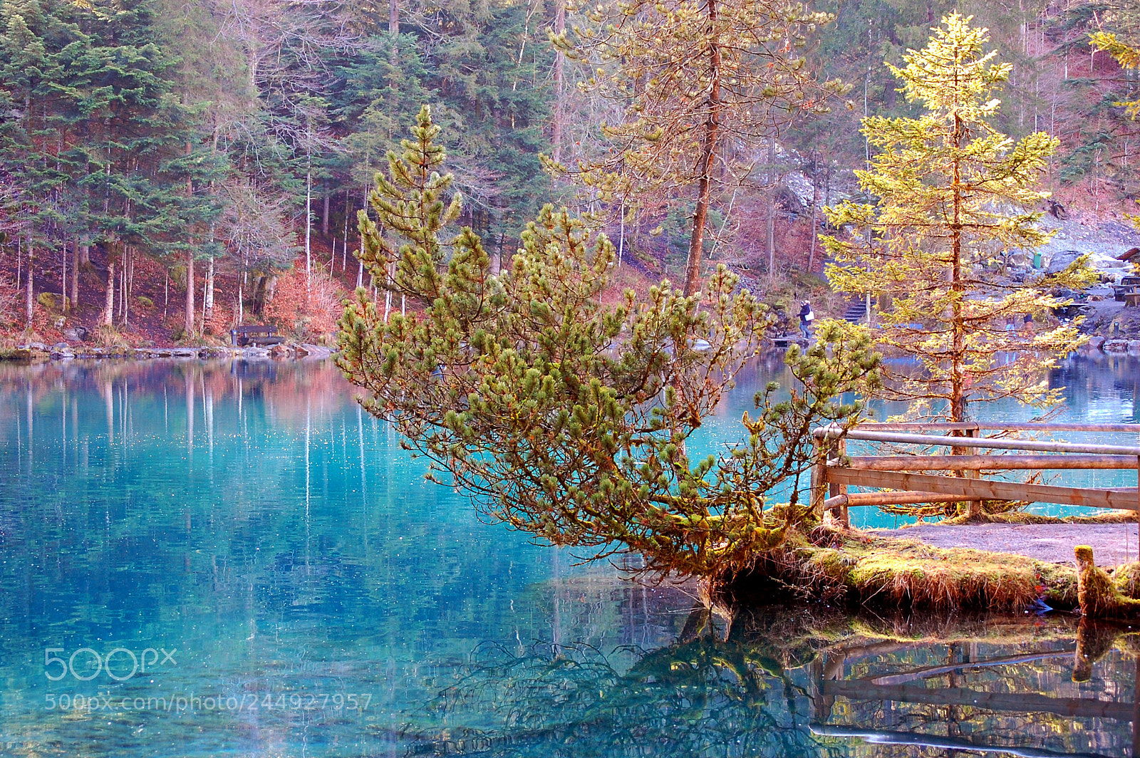 Nikon D40 sample photo. Blue pearl photography