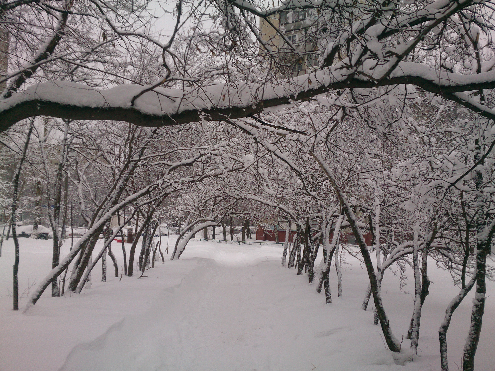 Sony Xperia ZR sample photo. Snow photography