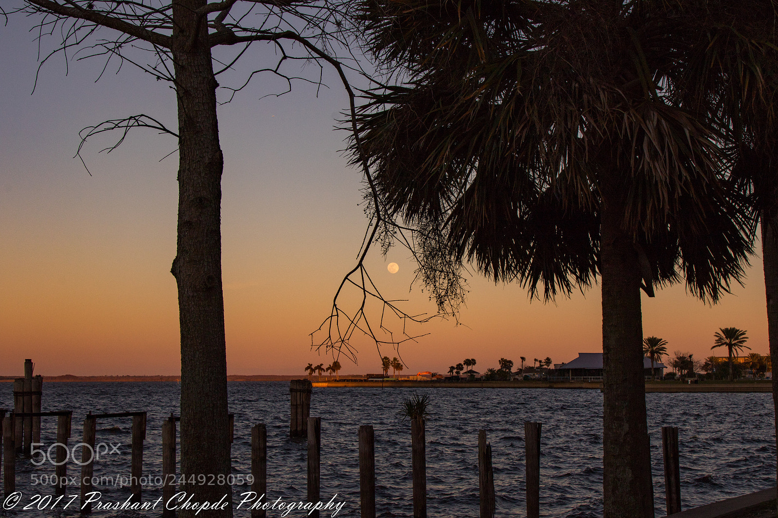 Canon EOS 7D Mark II sample photo. Moonrise photography