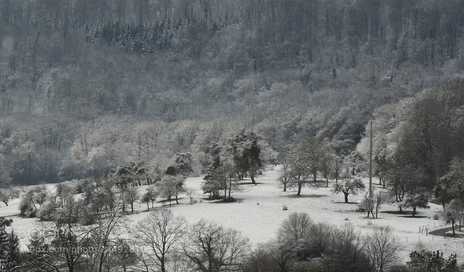 Canon EOS 7D Mark II sample photo. Little snow photography